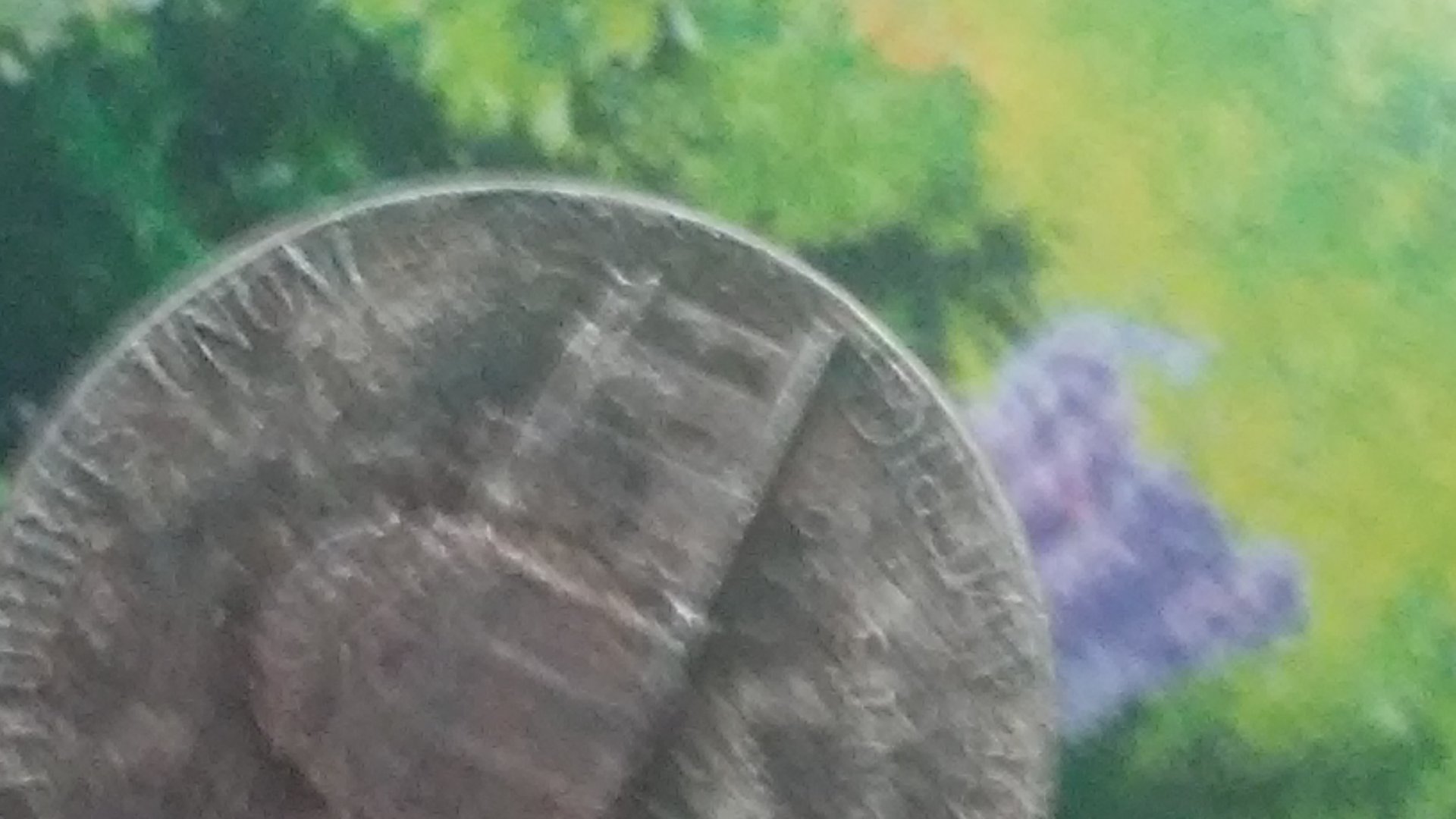 20170501_185420.jpg