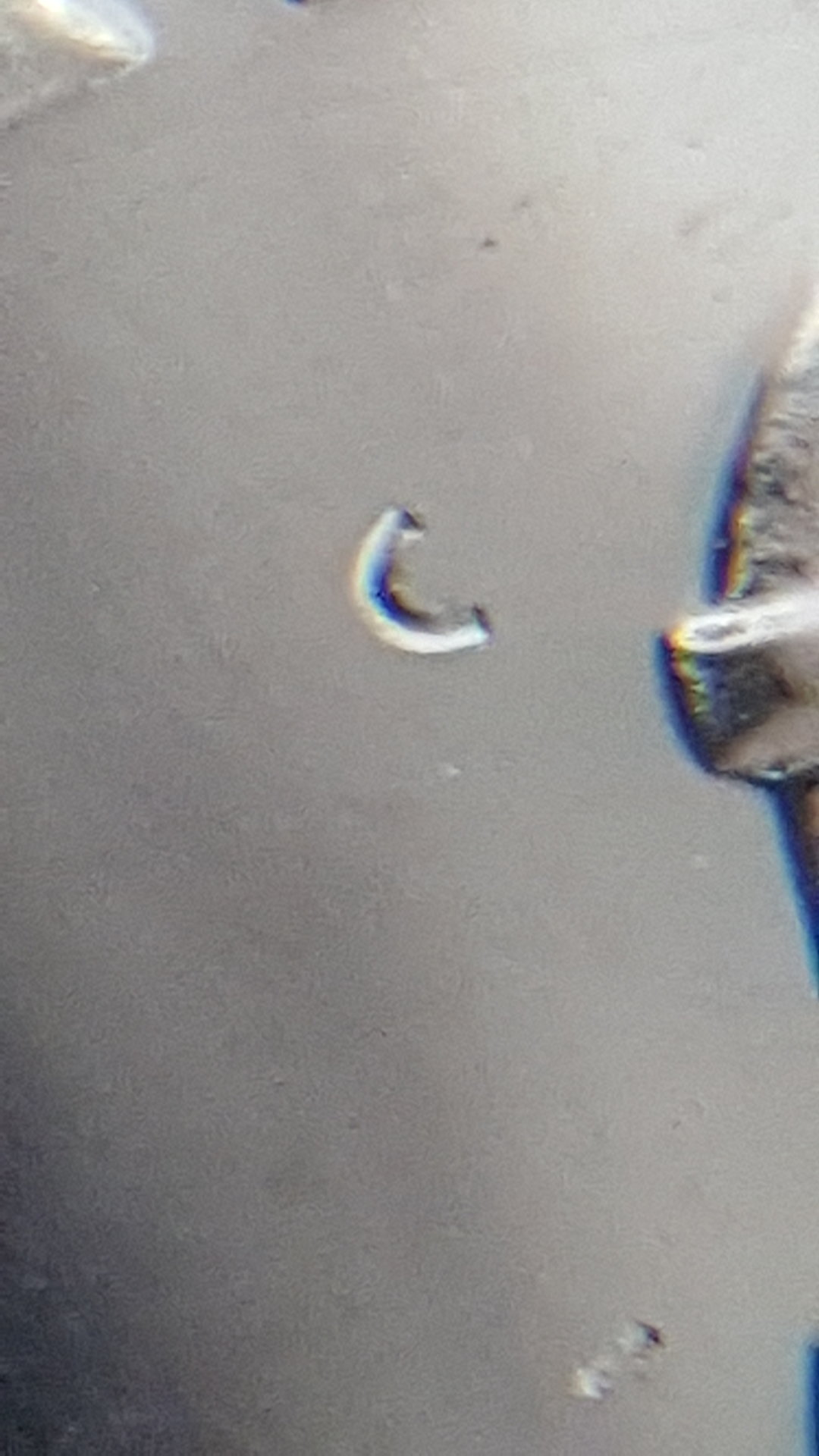 20170521_111608_001.jpg