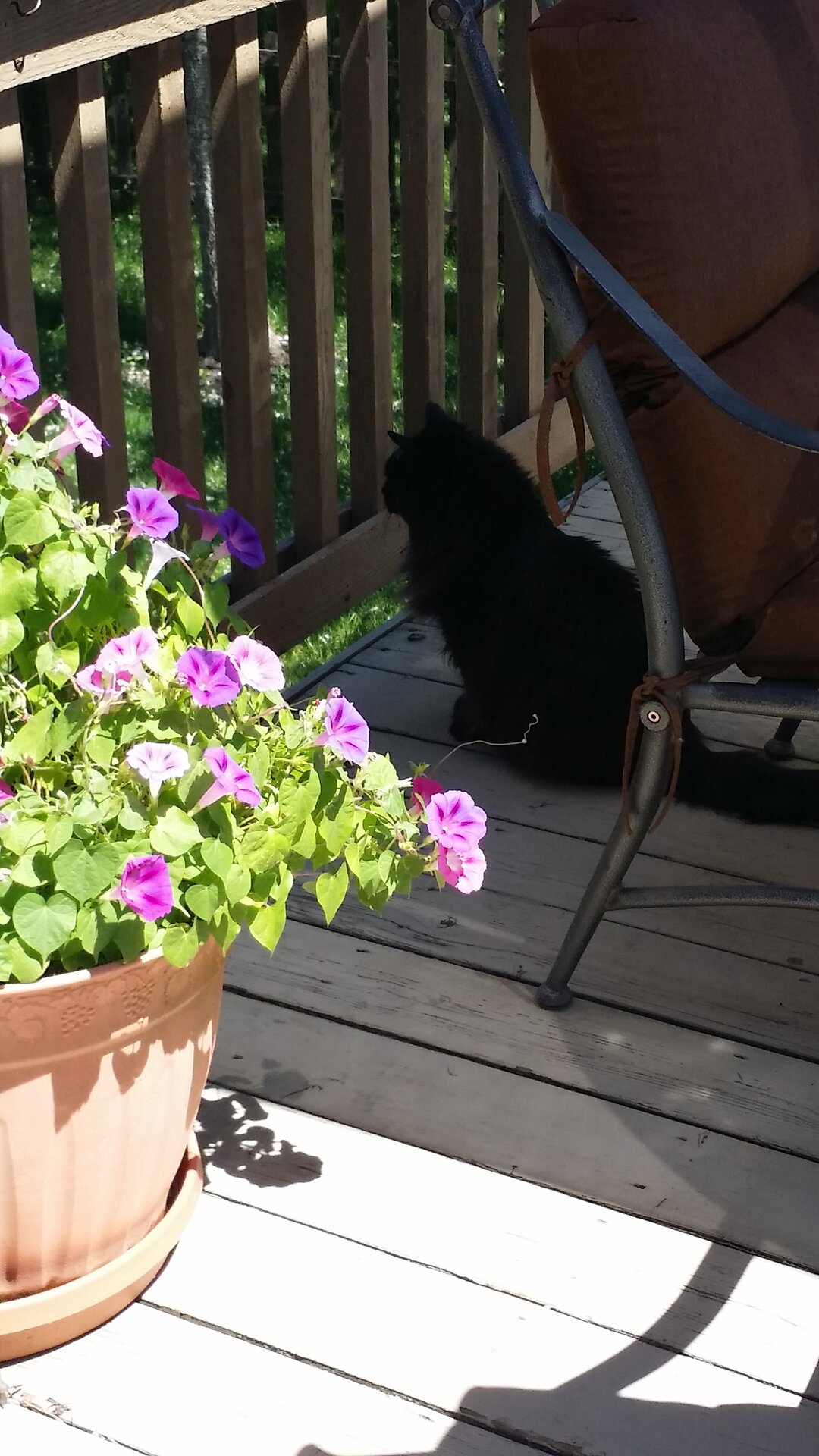 20170608_113625.jpg