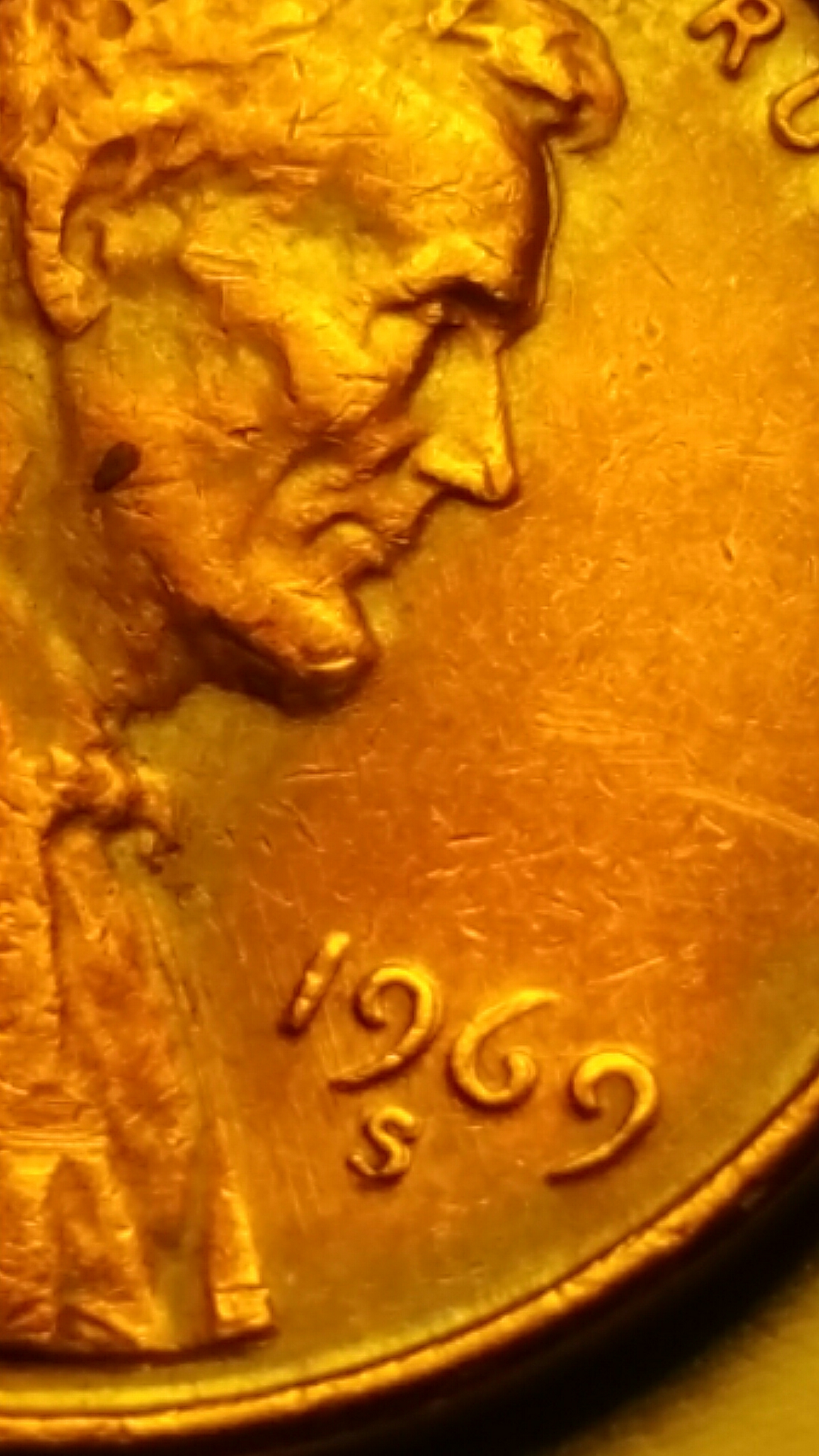 20170616_194958.jpg