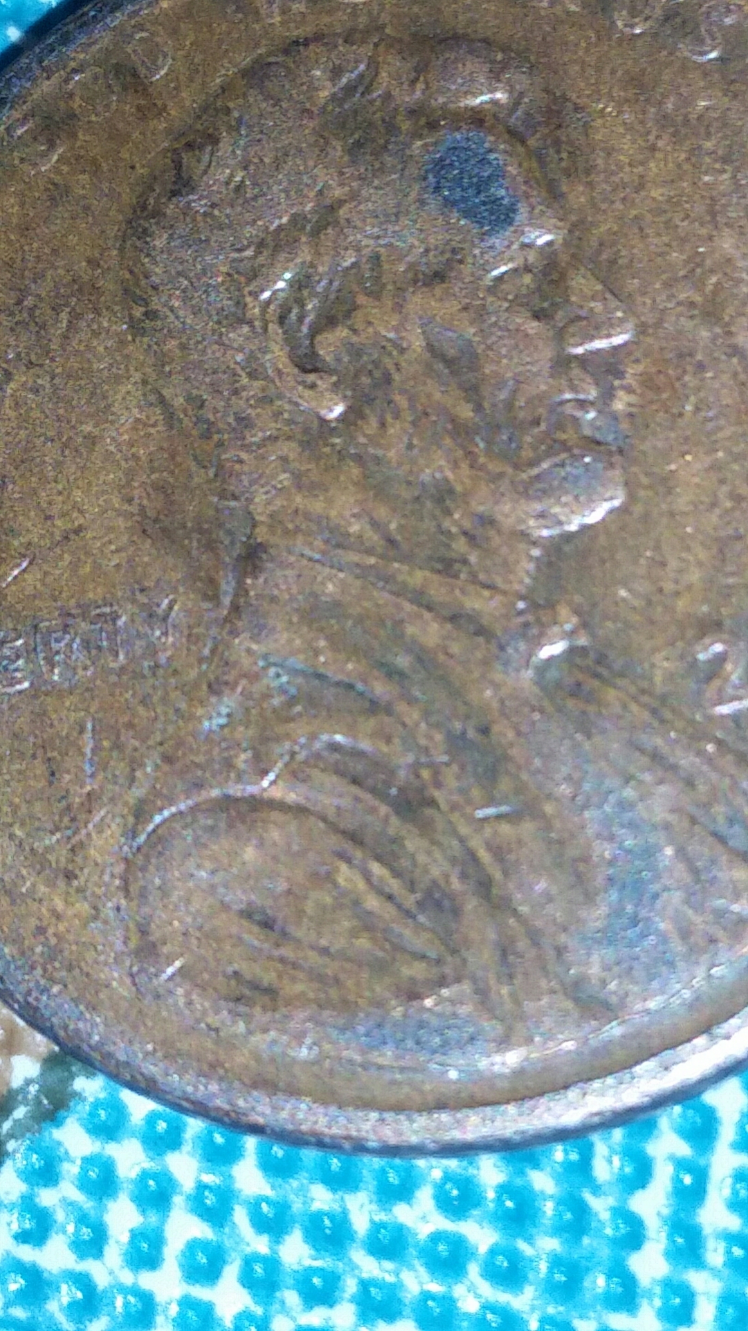 20170626_004439.jpg