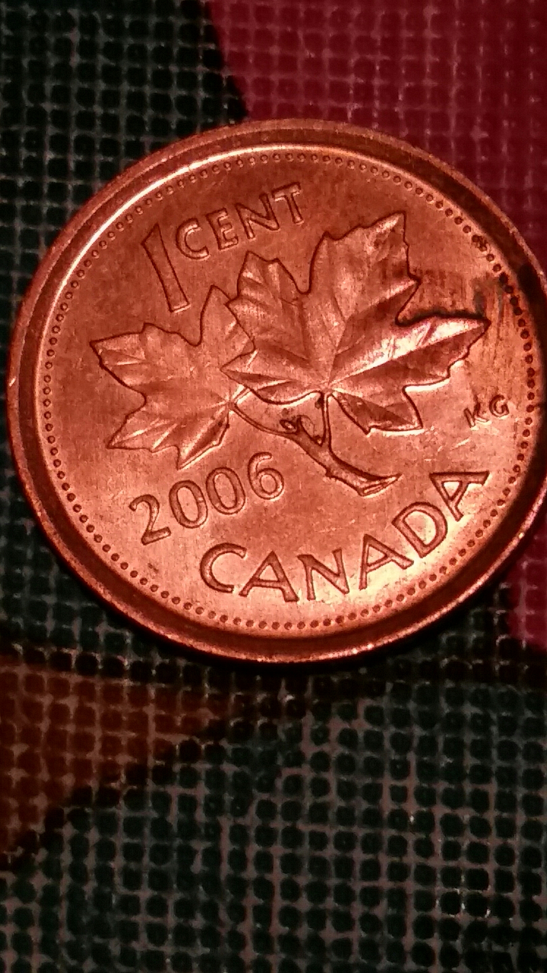 20170626_045352.jpg