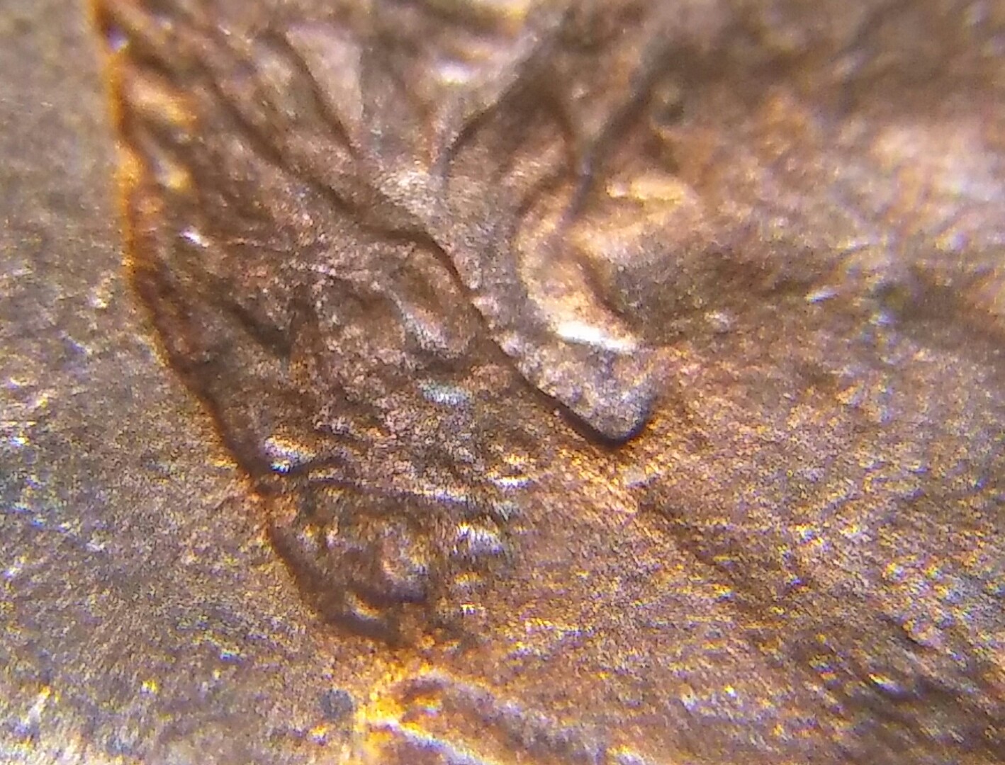 20170708_150950_HDR.jpg