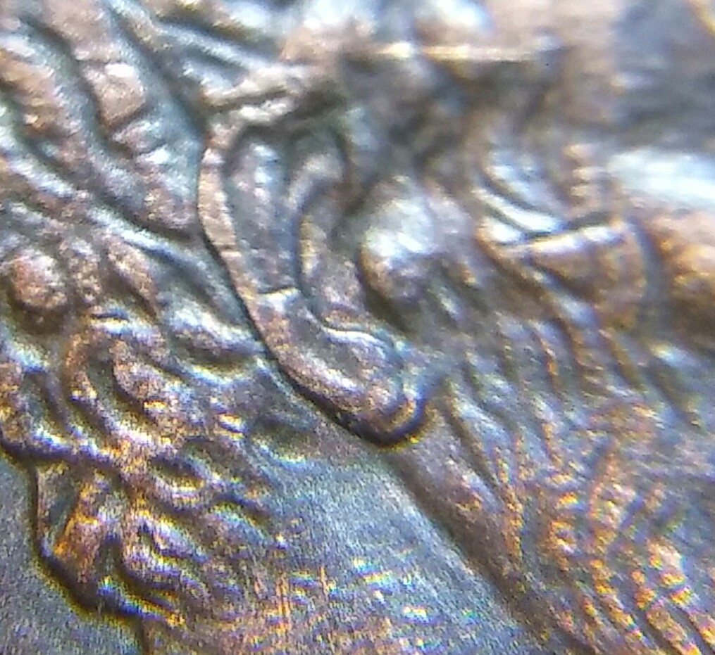 20170709_082604_HDR.jpg