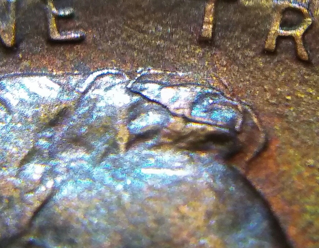 20170714_091014_Burst01.jpg