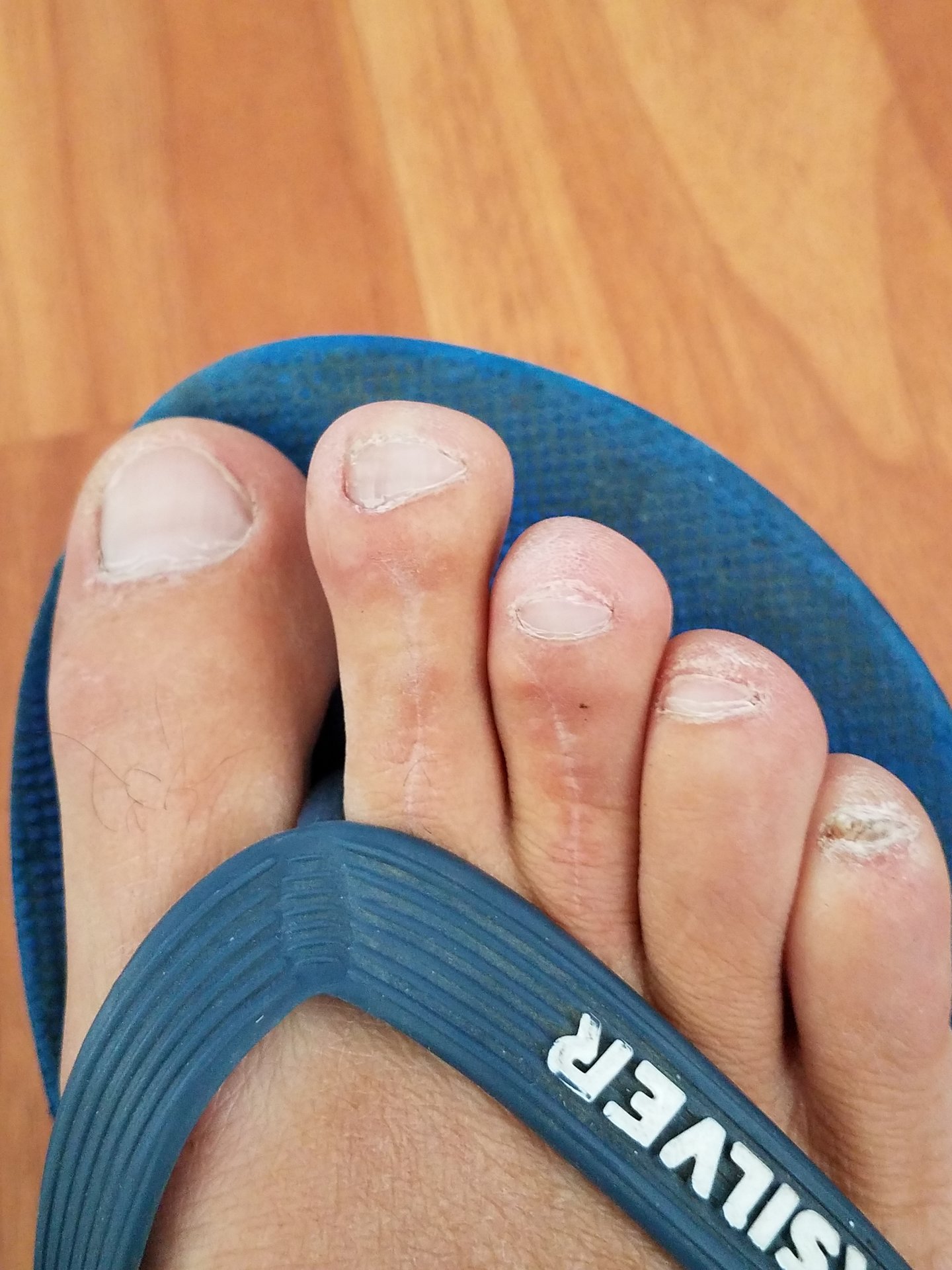 20170720_122914.jpg