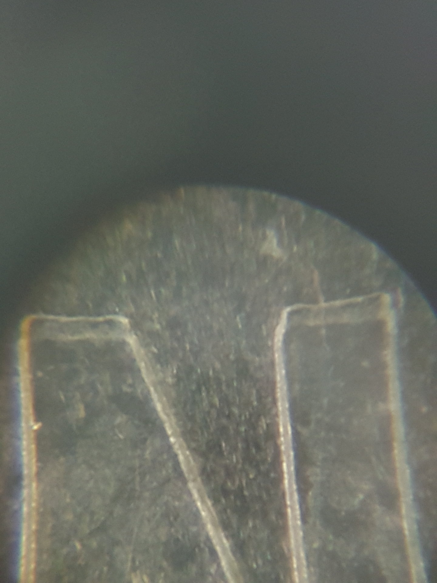 20170727_134304.jpg