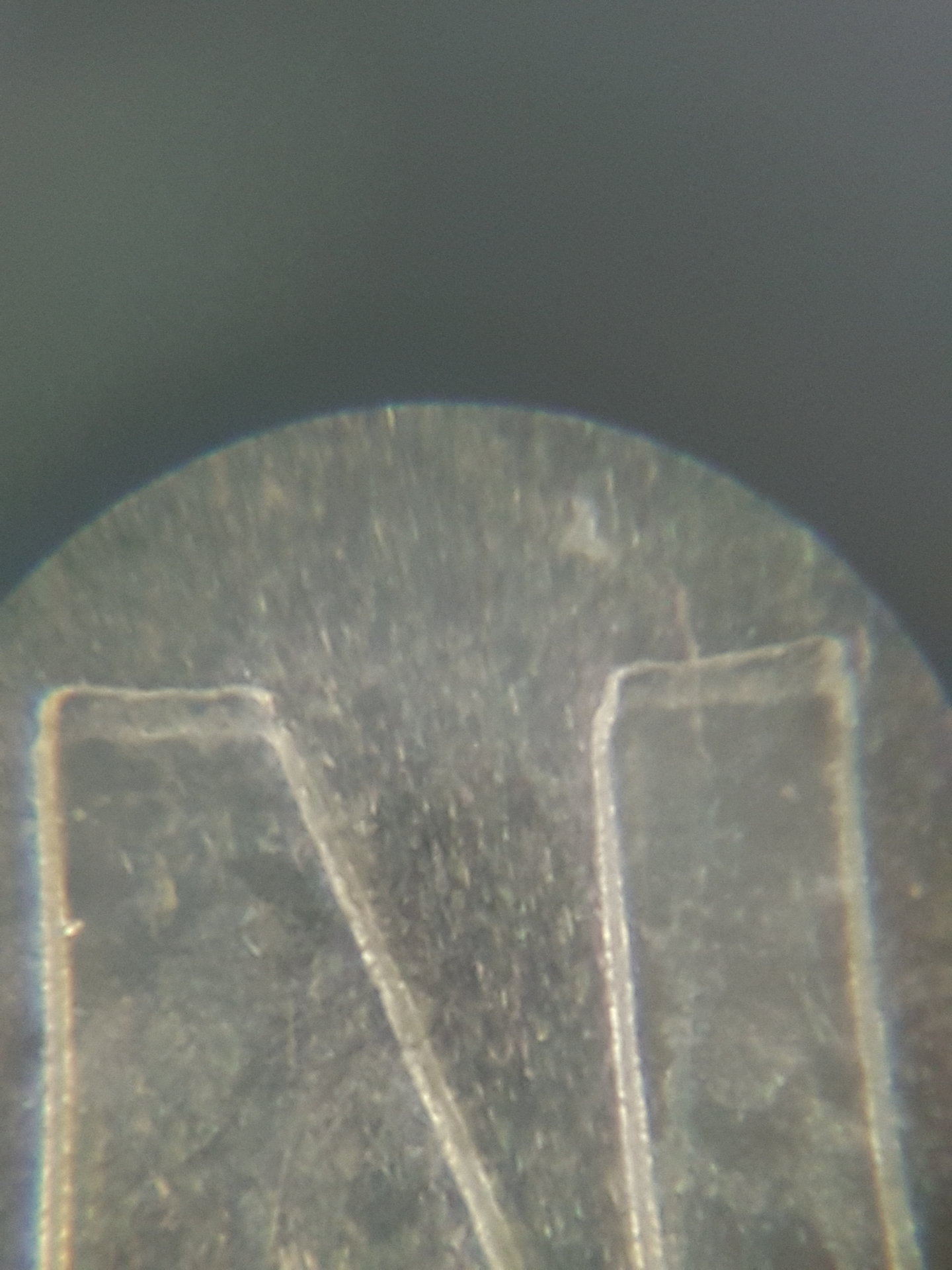 20170727_134307.jpg