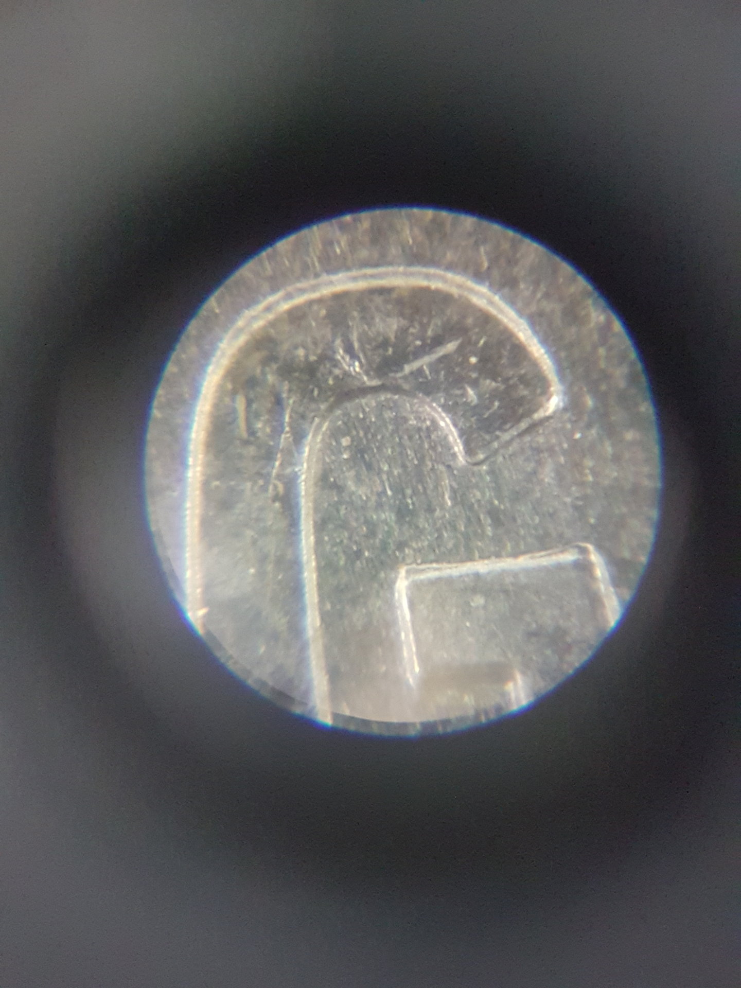 20170727_134612.jpg
