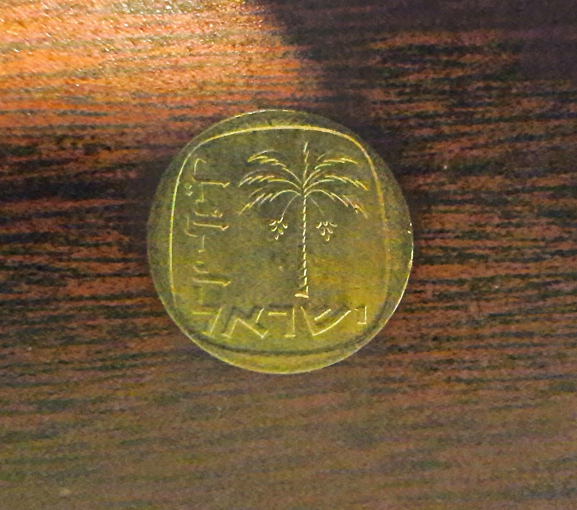 20170727_211118_HDR.jpg