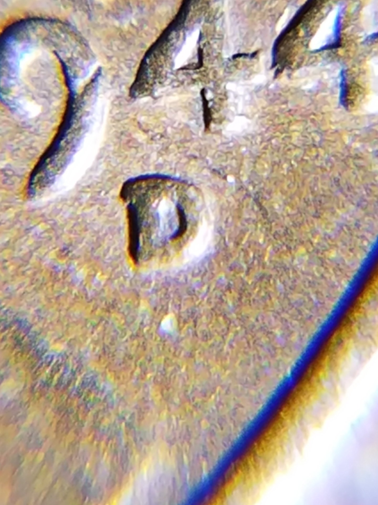 20170810_161530.jpg