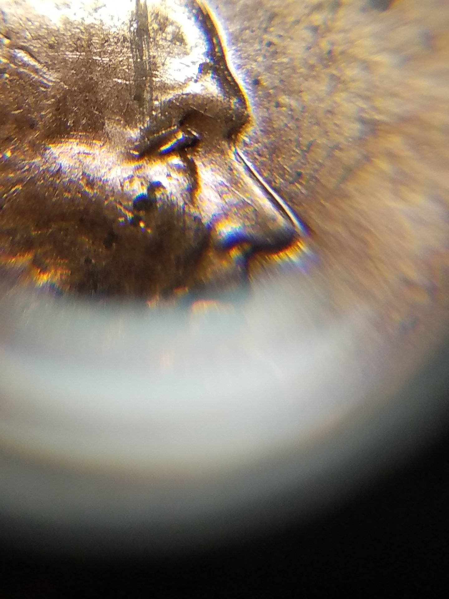 20170810_195524.jpg