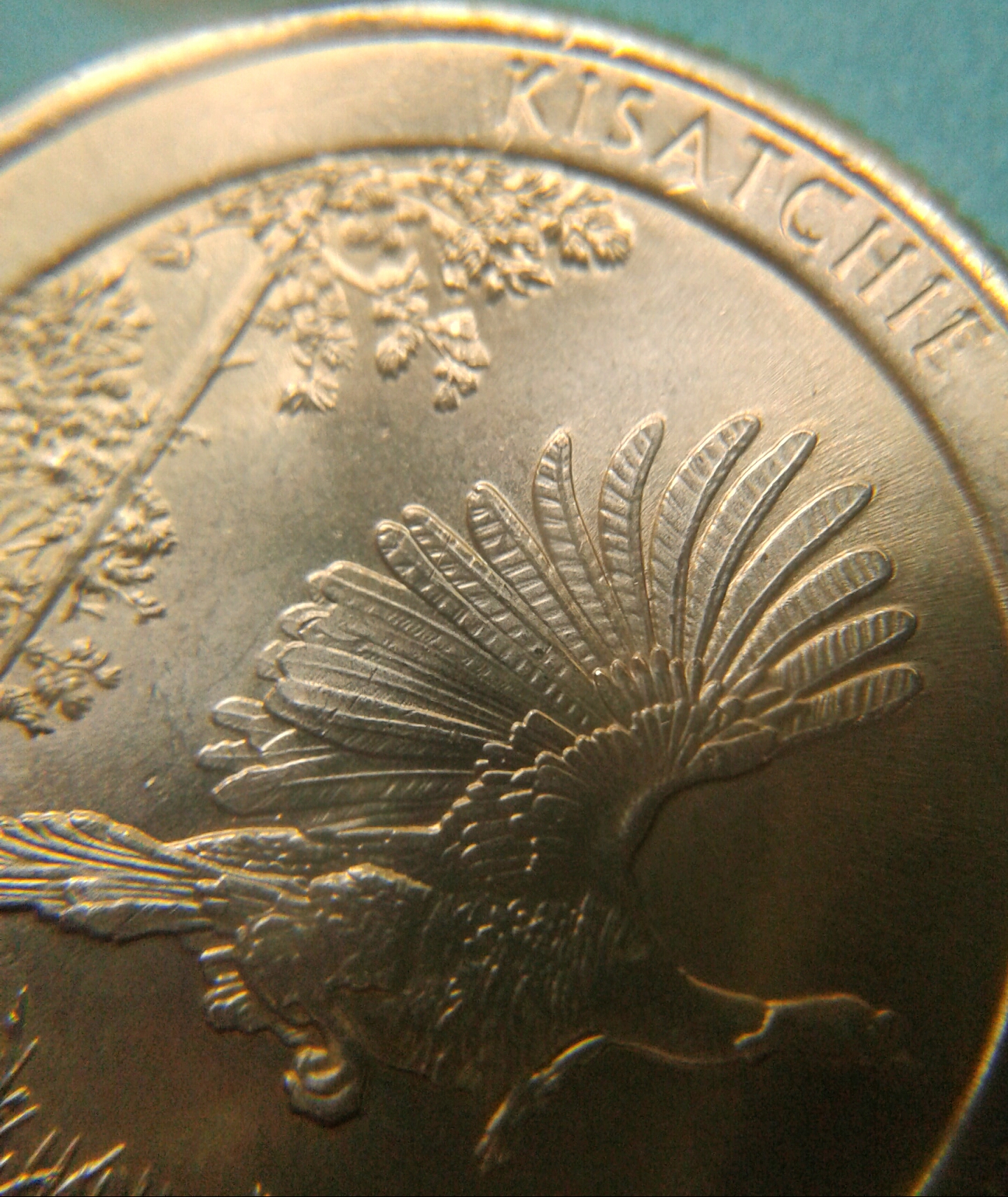 20170827_153420.jpg