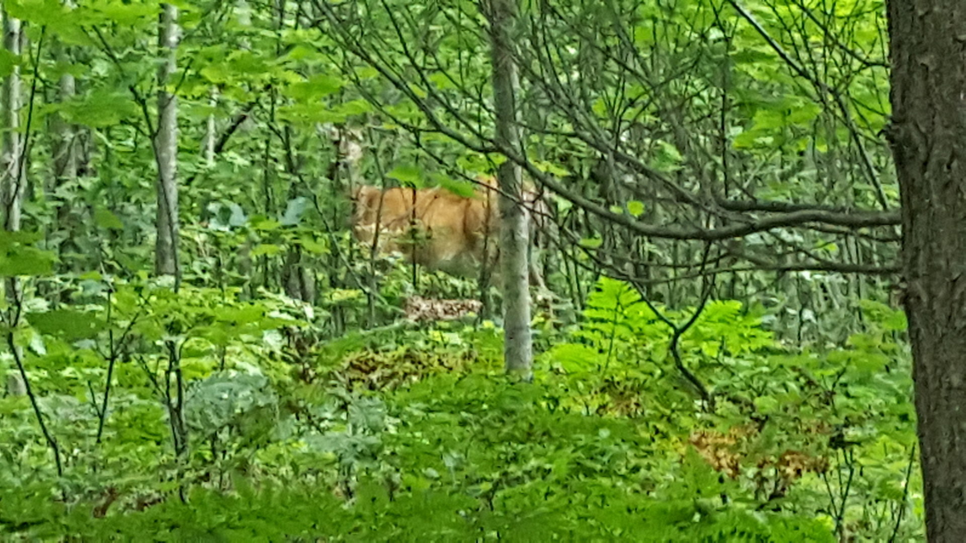 20170831_103049.jpg