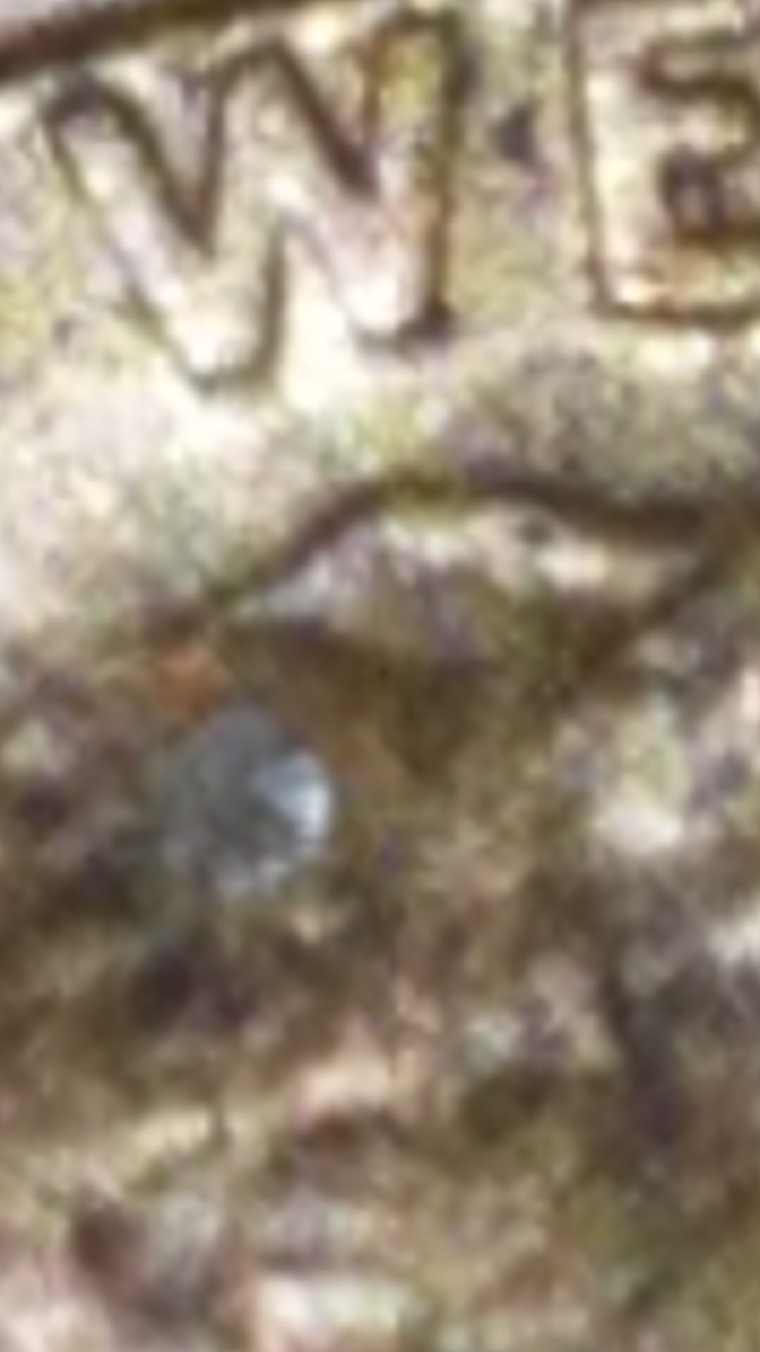 20170903_224851.jpg