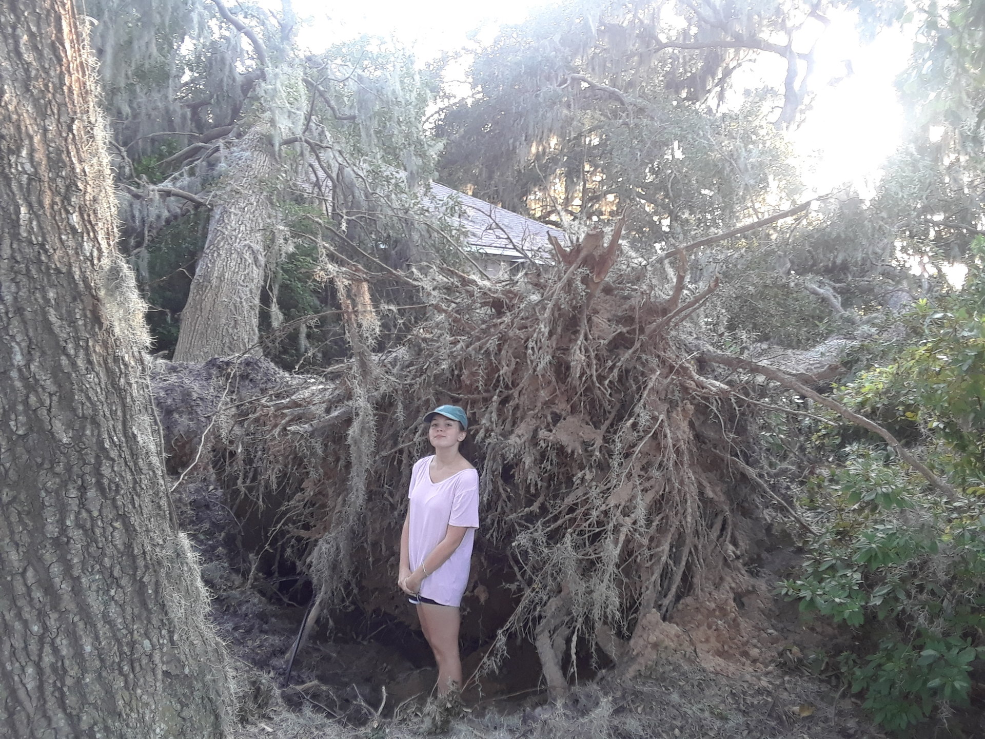 20170914_183545.jpg