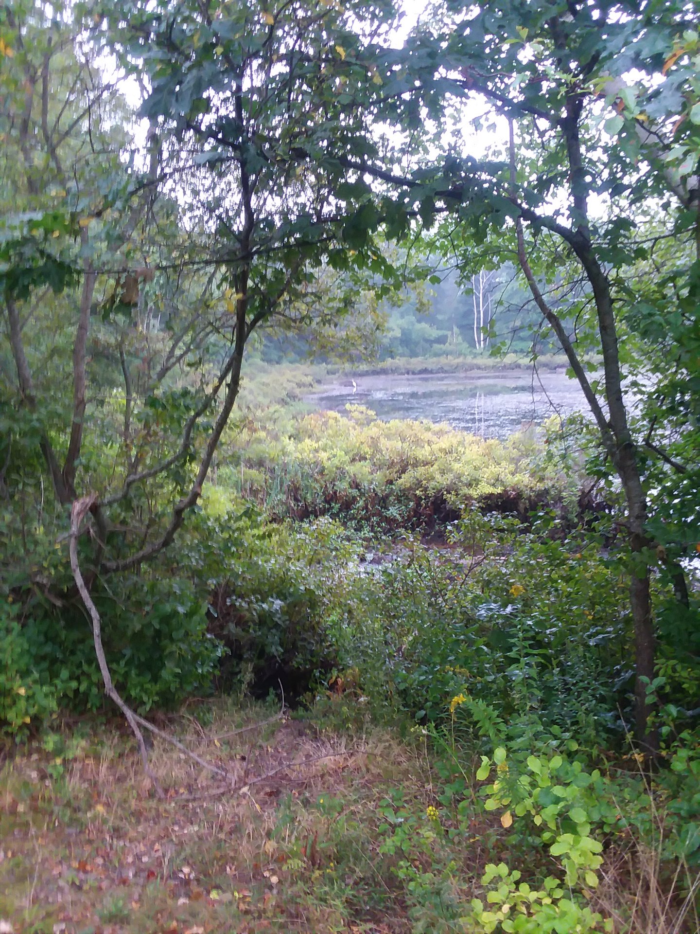 20170915_070238.jpg