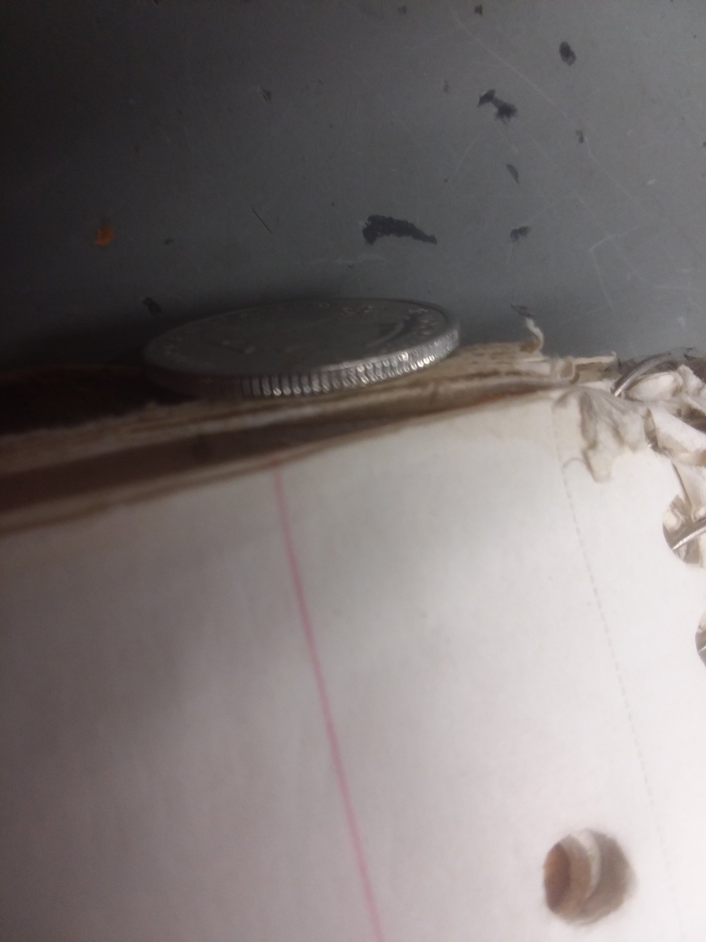 20170930_023523.jpg