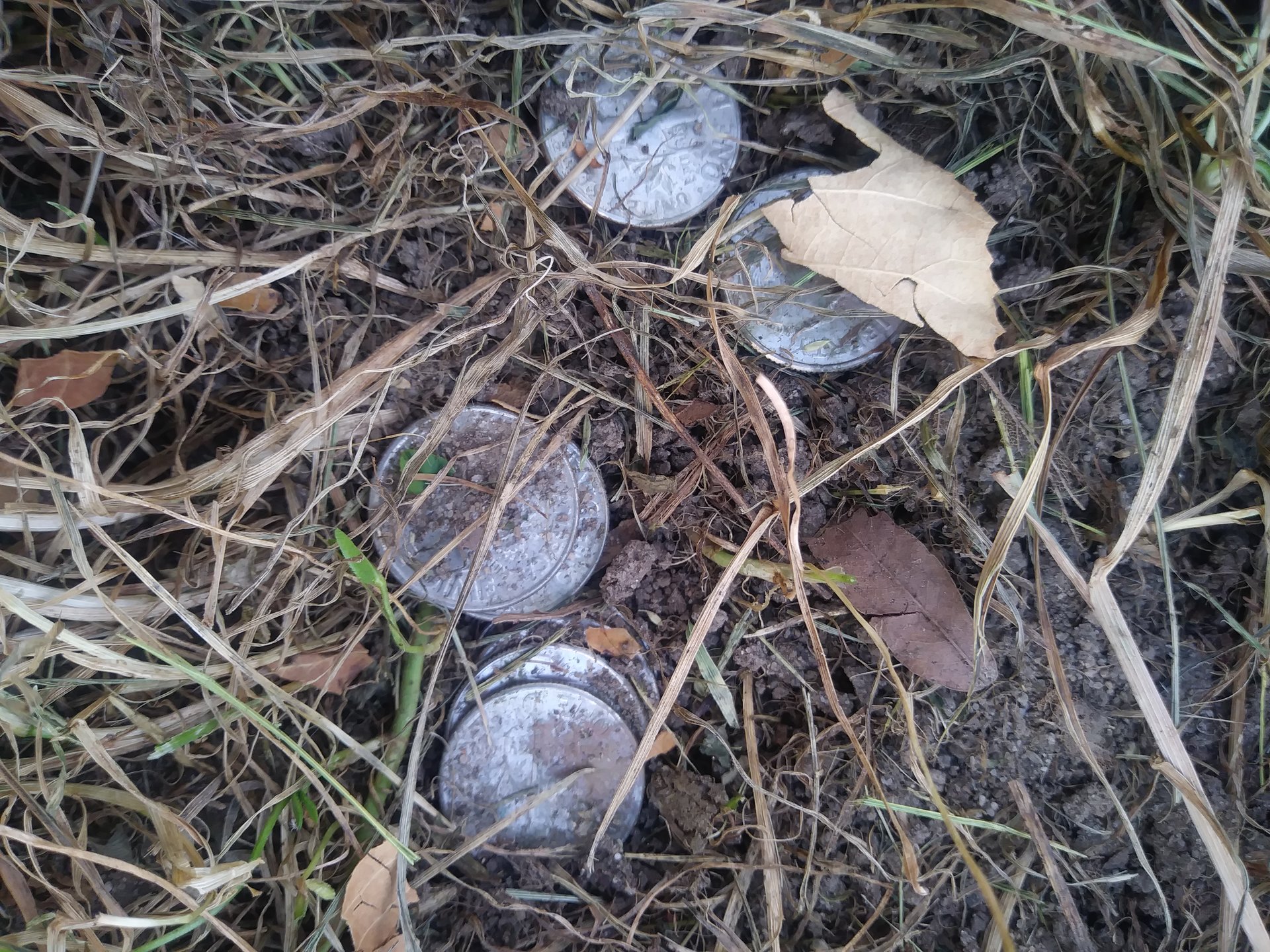 20171006_170745.jpg