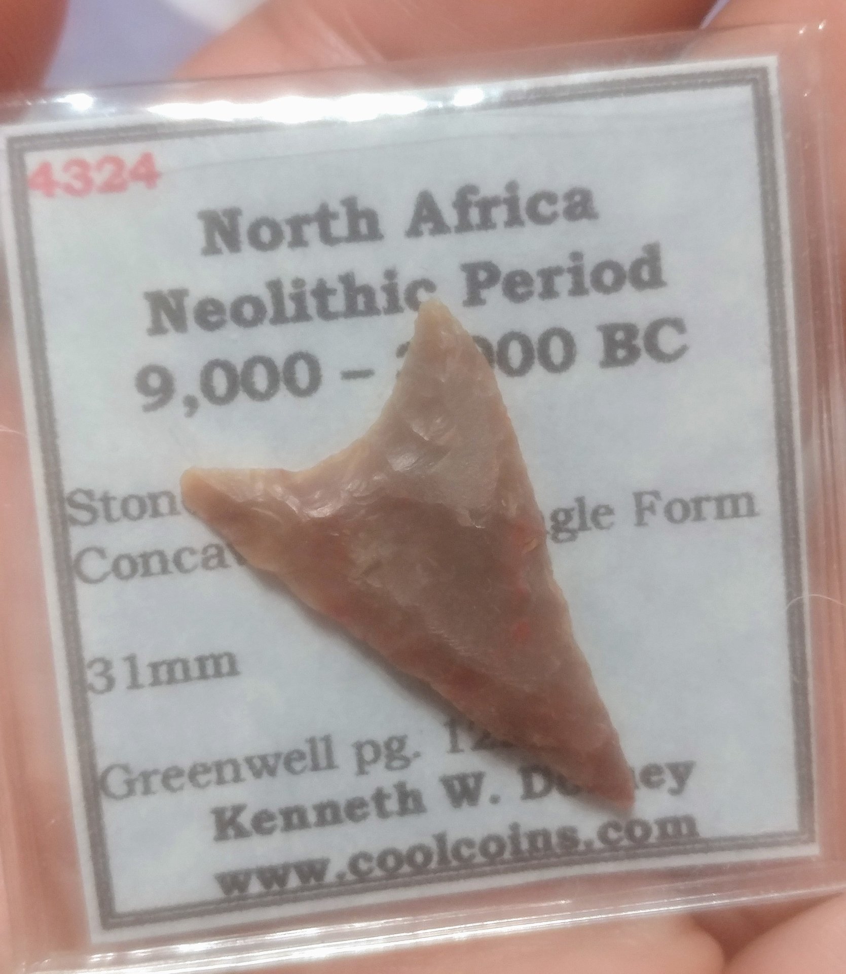 20171009_214738.jpg