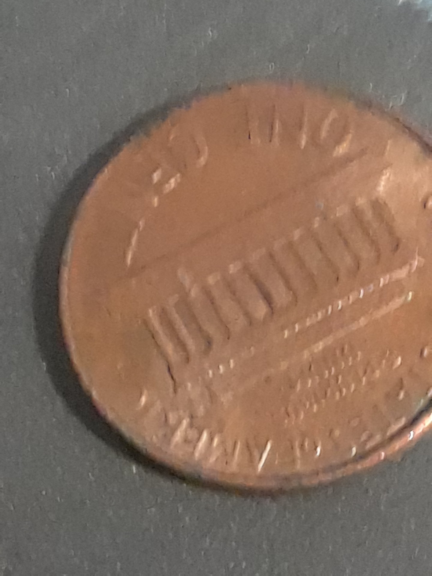 20171019_041240[1].jpg