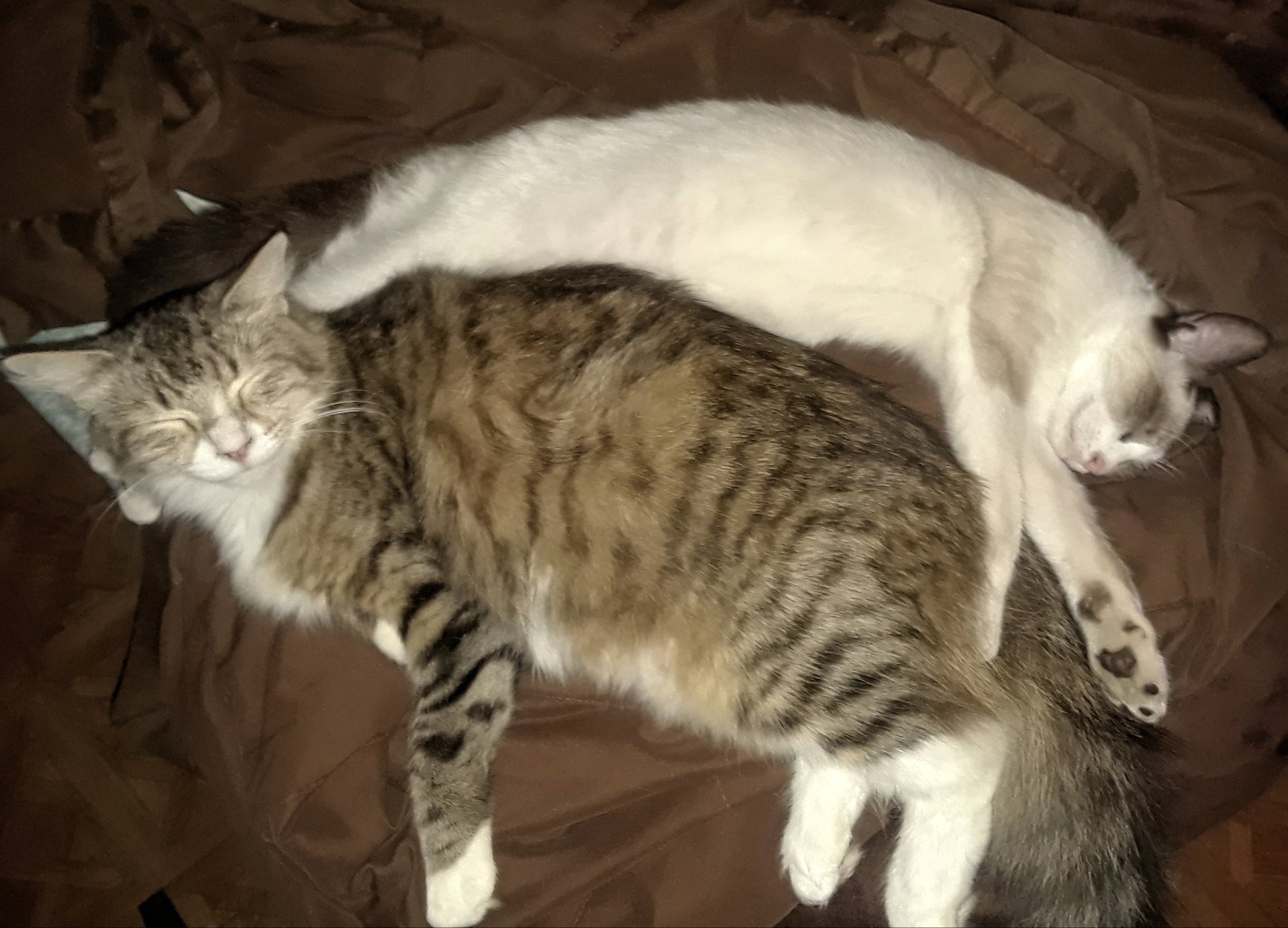 20171019_113443.jpg