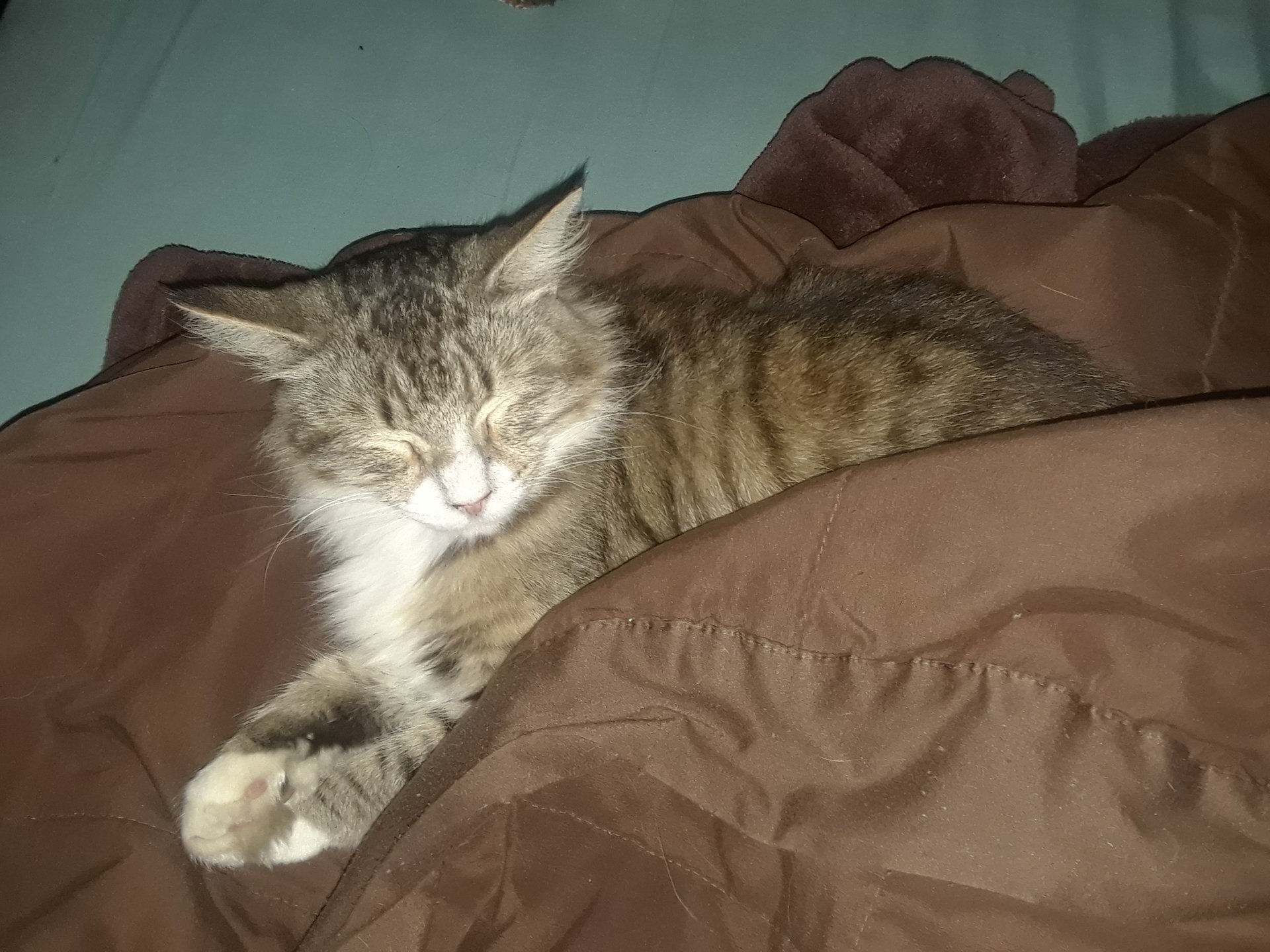 20171030_074042.jpg