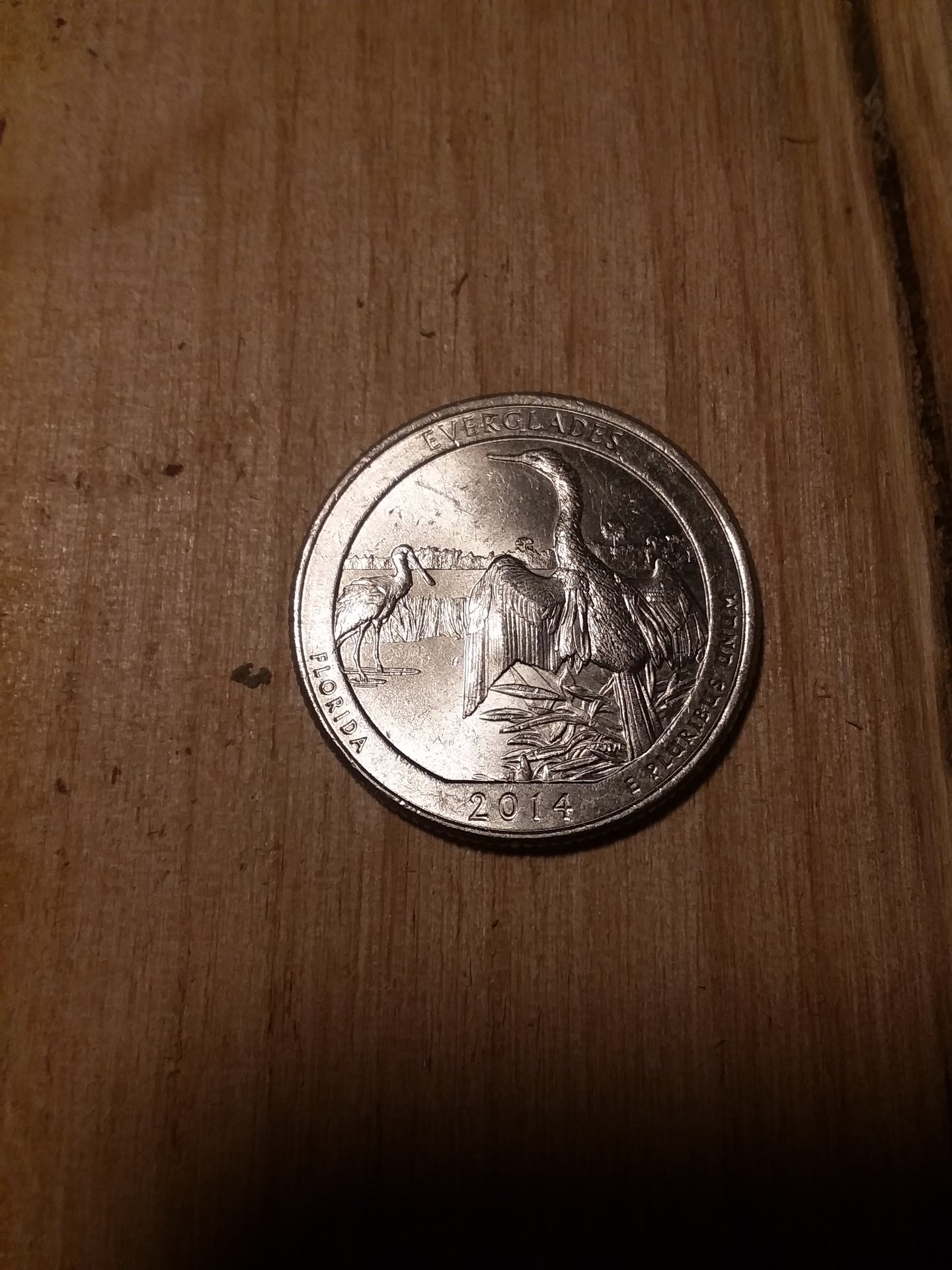 20171030_200253.jpg