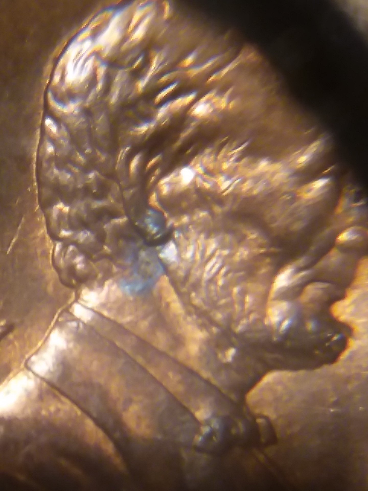 20171030_200631.jpg