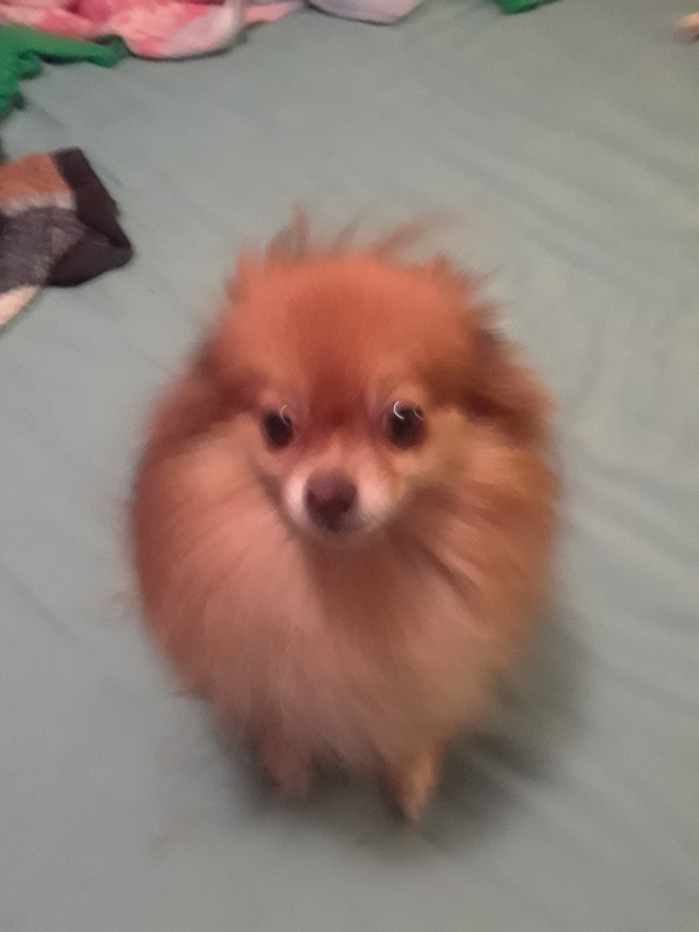 20171103_093734.jpg