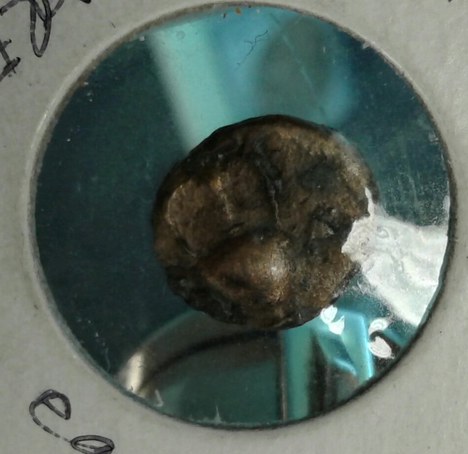 20171107_185104.jpg