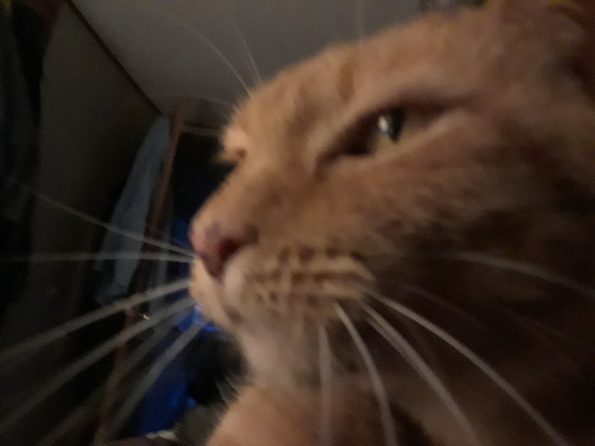20171115_170322.jpg