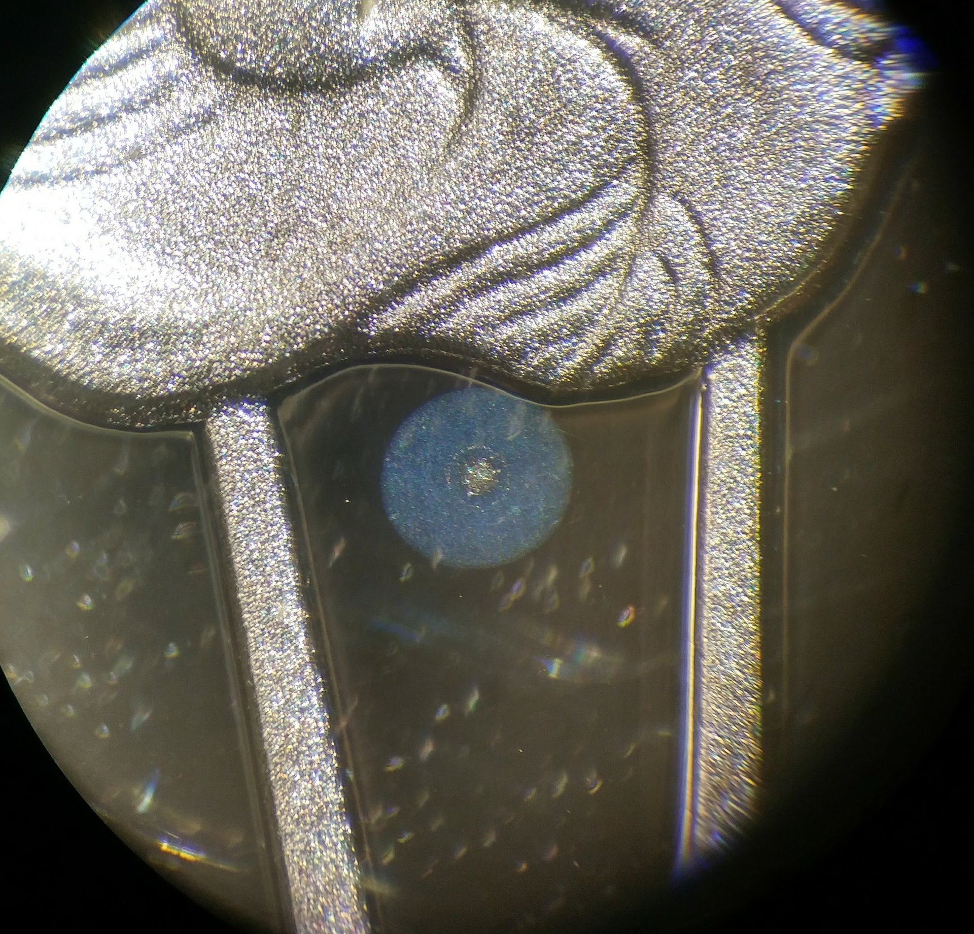 20171124_210217_HDR_2.jpg