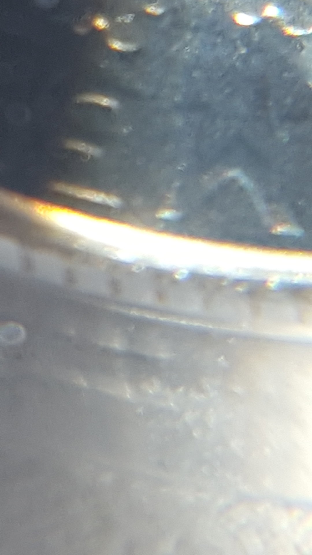 20171130_124742.jpg