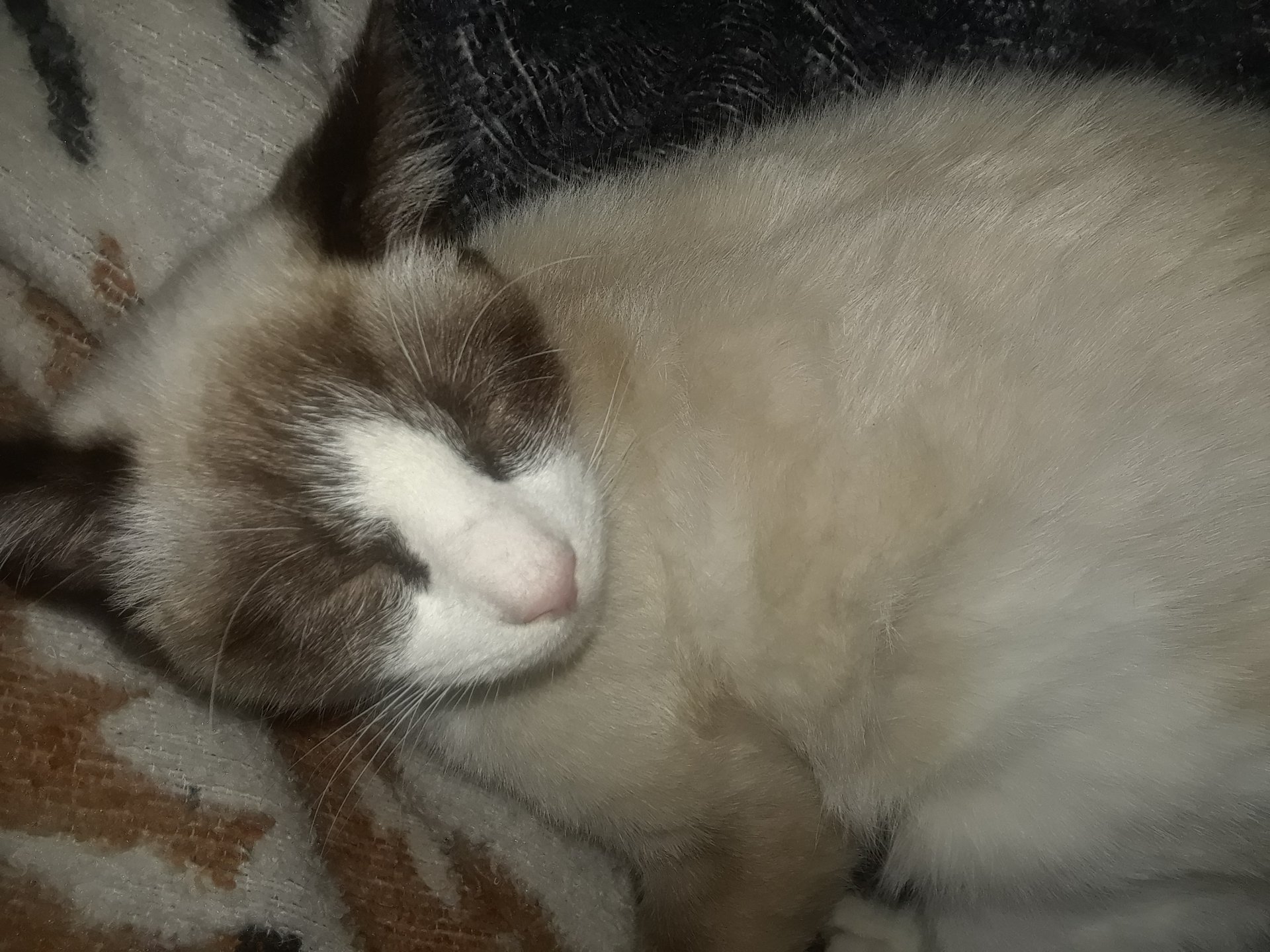 20171217_004303.jpg