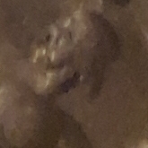 20171217_005228.jpg