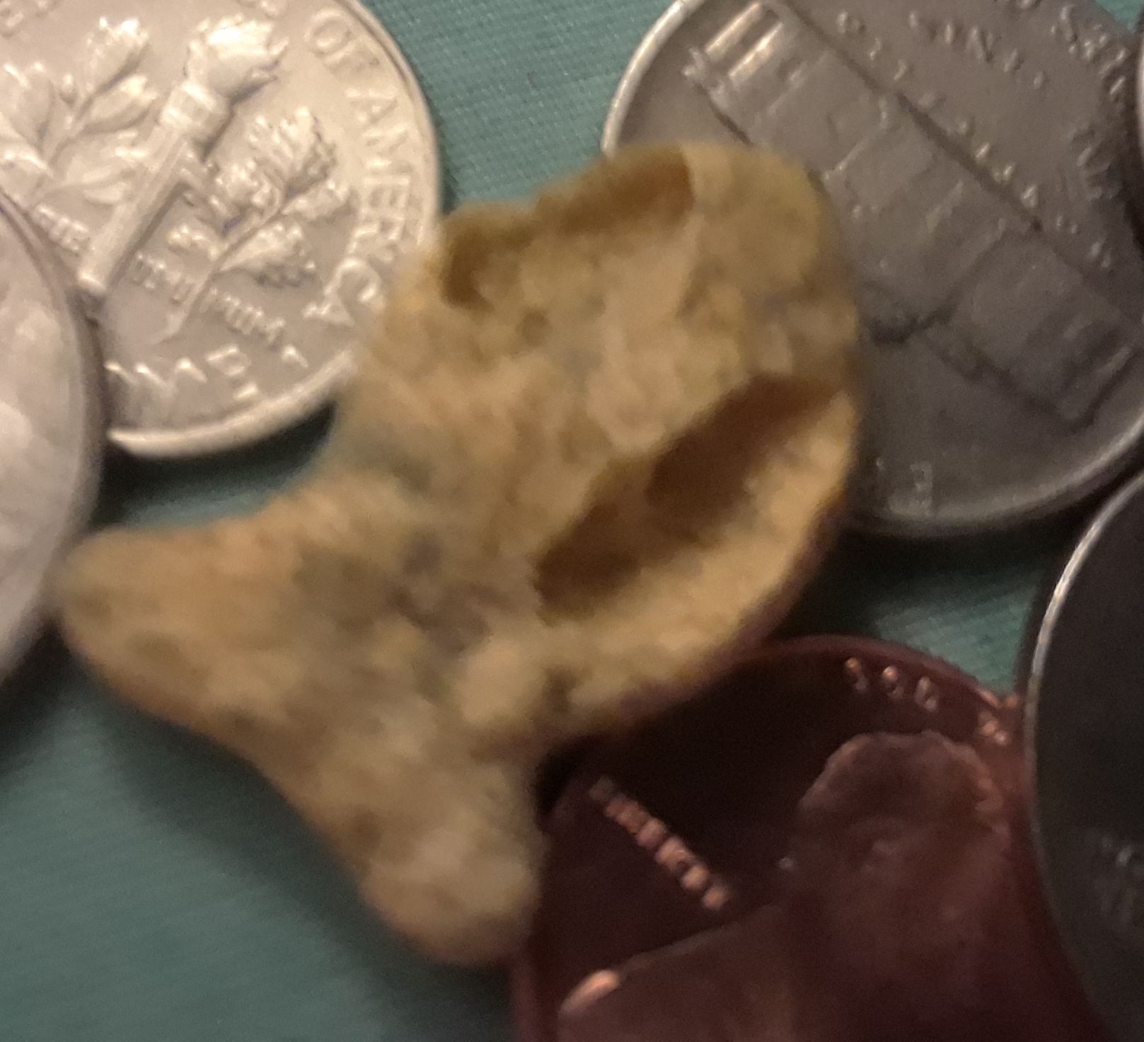 20171222_094020.jpg