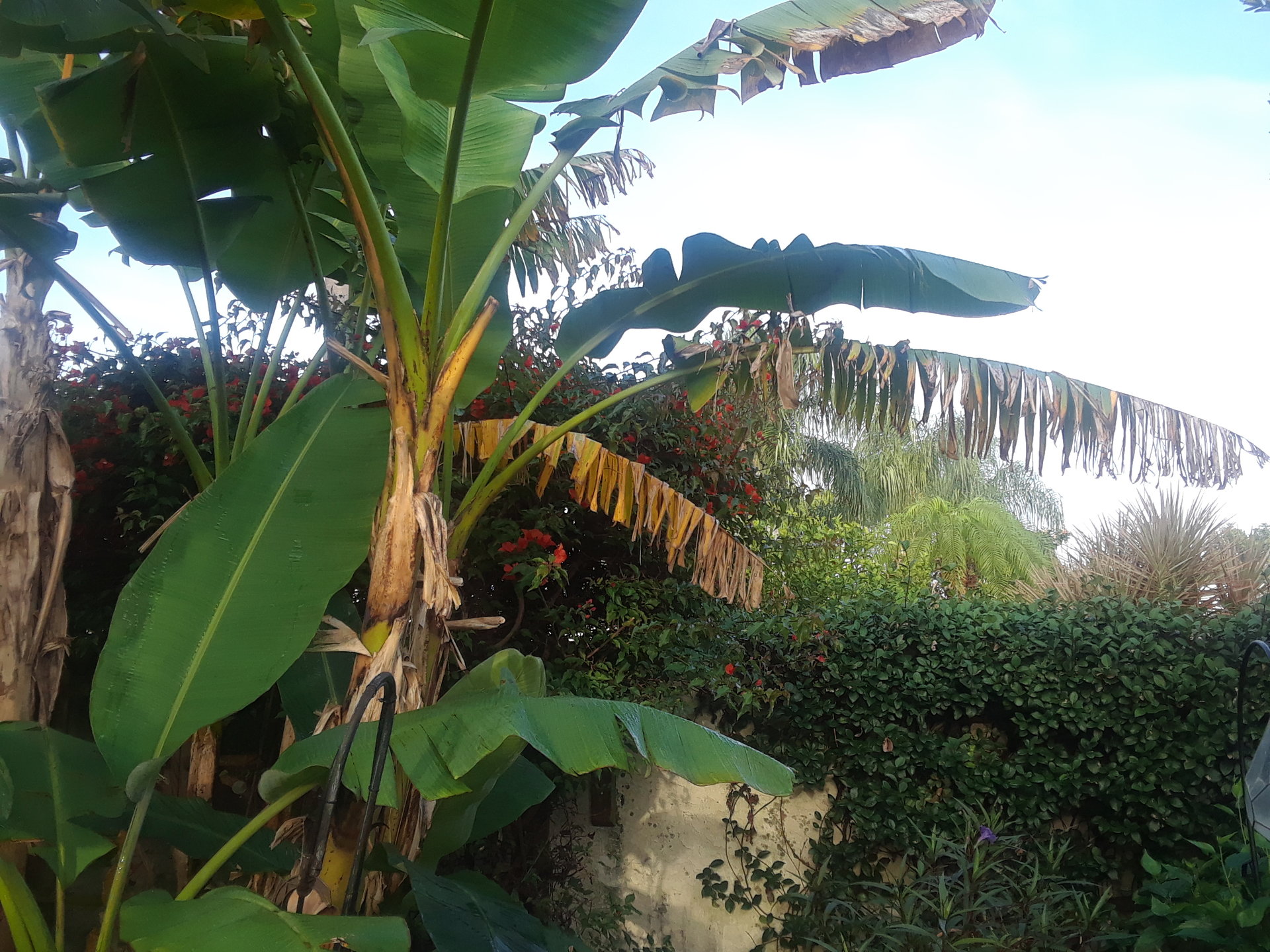 20171224_081751.jpg