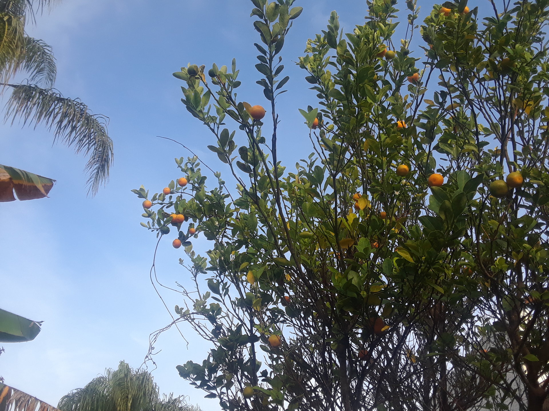 20171224_081804.jpg