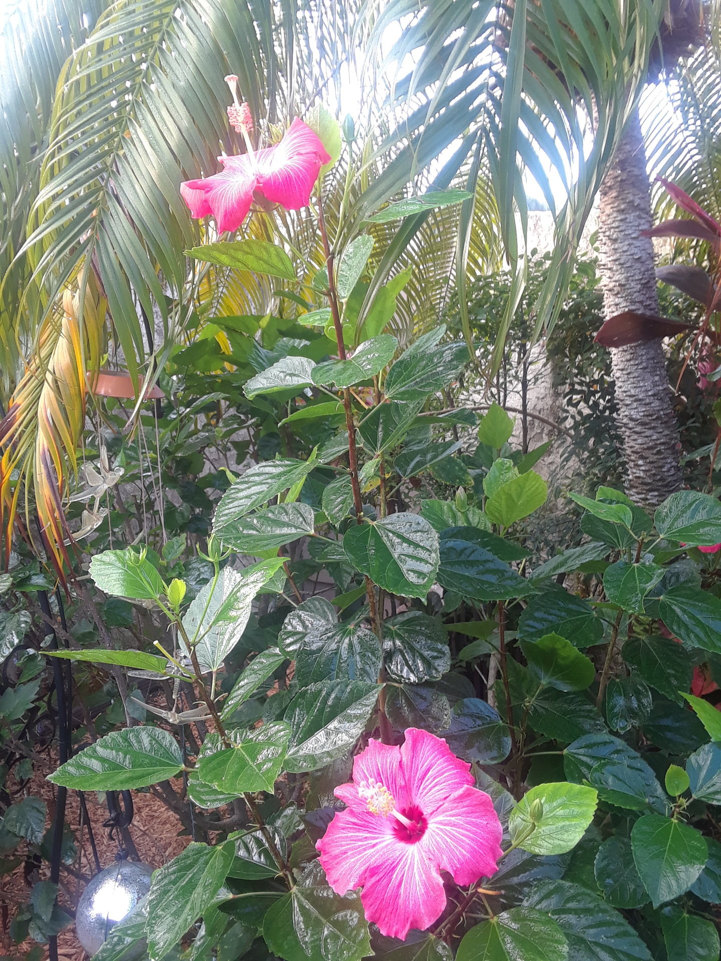 20171224_081825.jpg