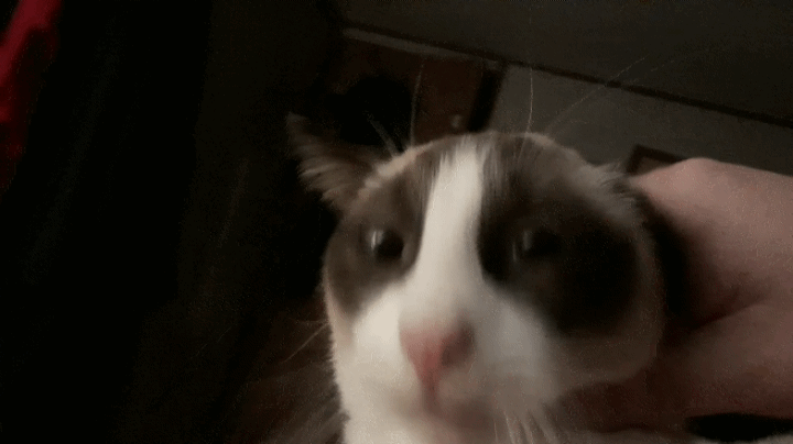 20171227_195442.gif