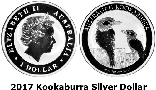 2017Kookaburra.jpg