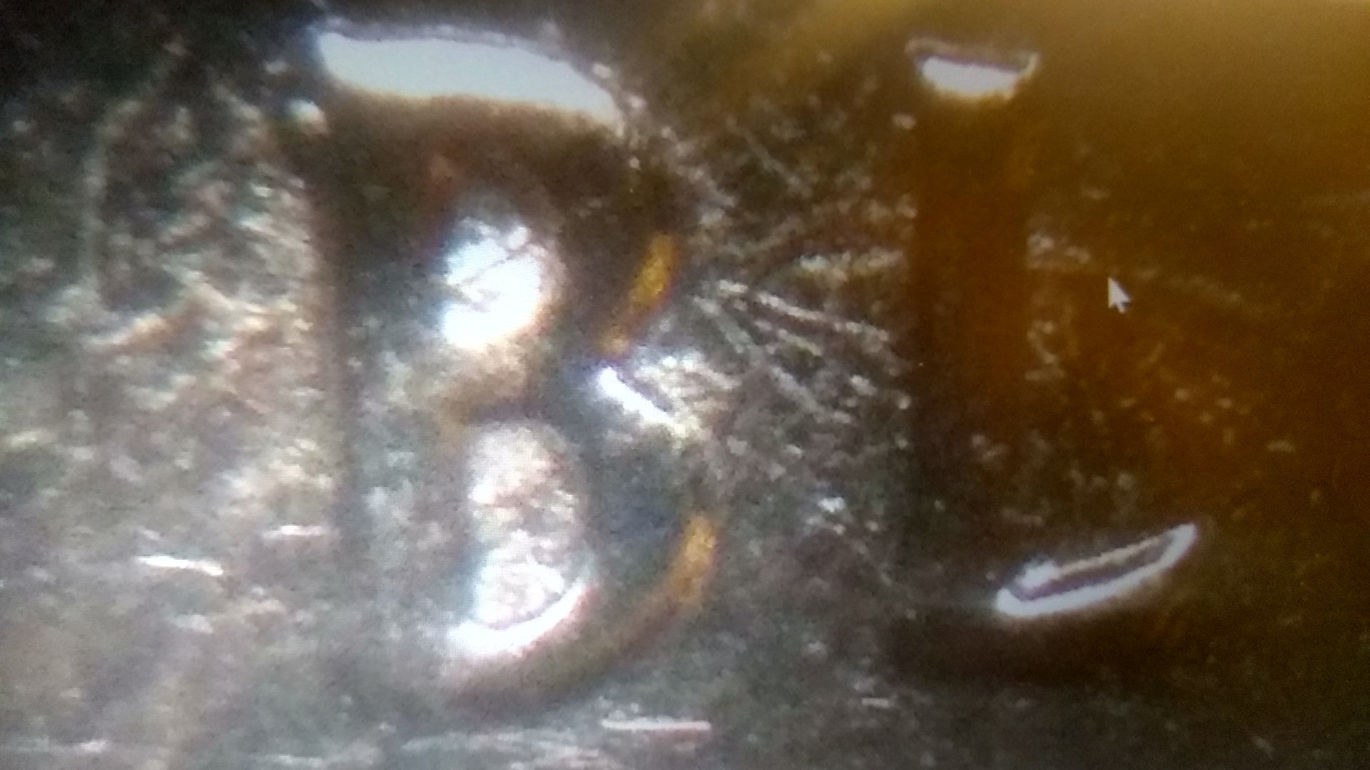 2018 DDR Quarter Block Island.jpg