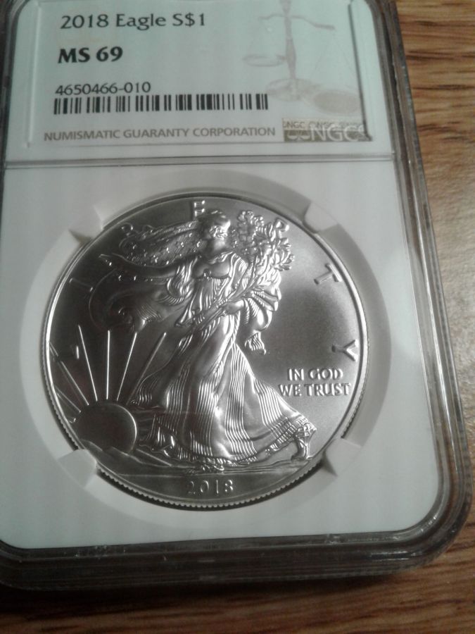 2018 Eagle.jpg