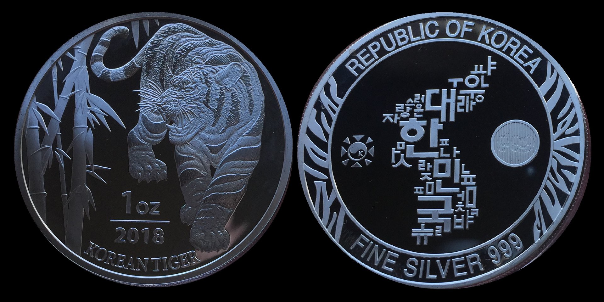 2018 Korean Tiger.jpg