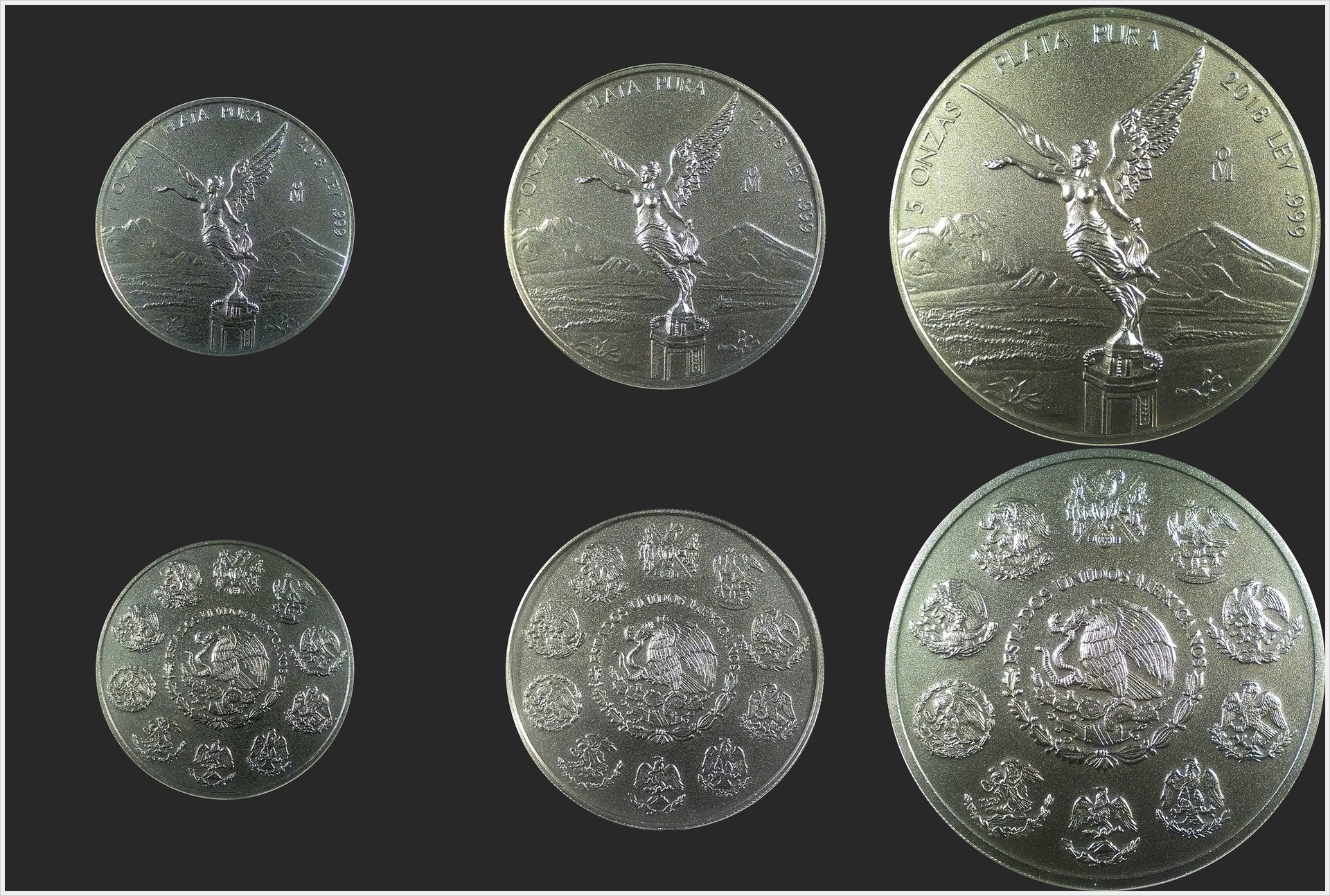 2018 Mexico Antiqued Libertads.jpg
