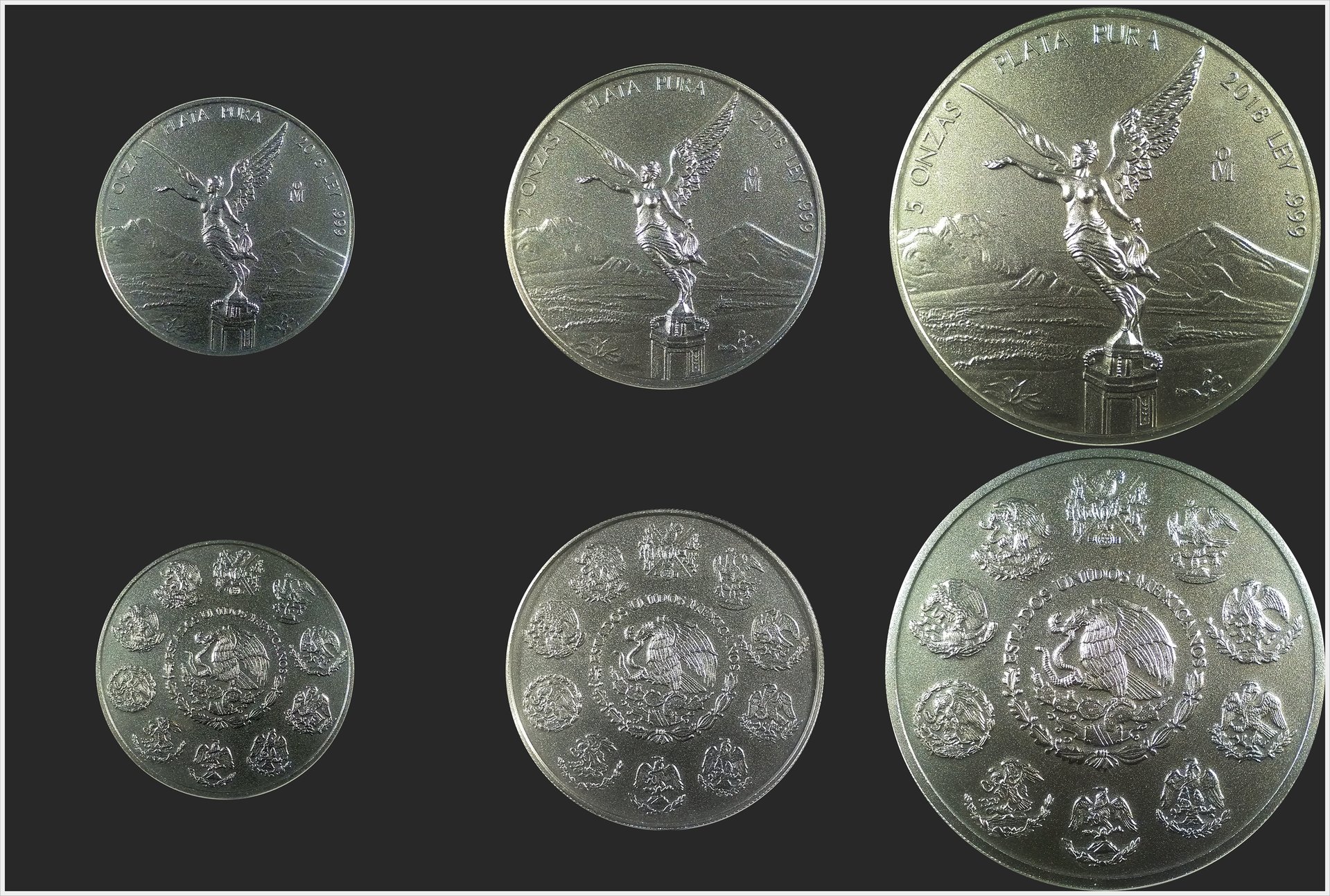 2018 Mexico Antiqued Libertads.jpg