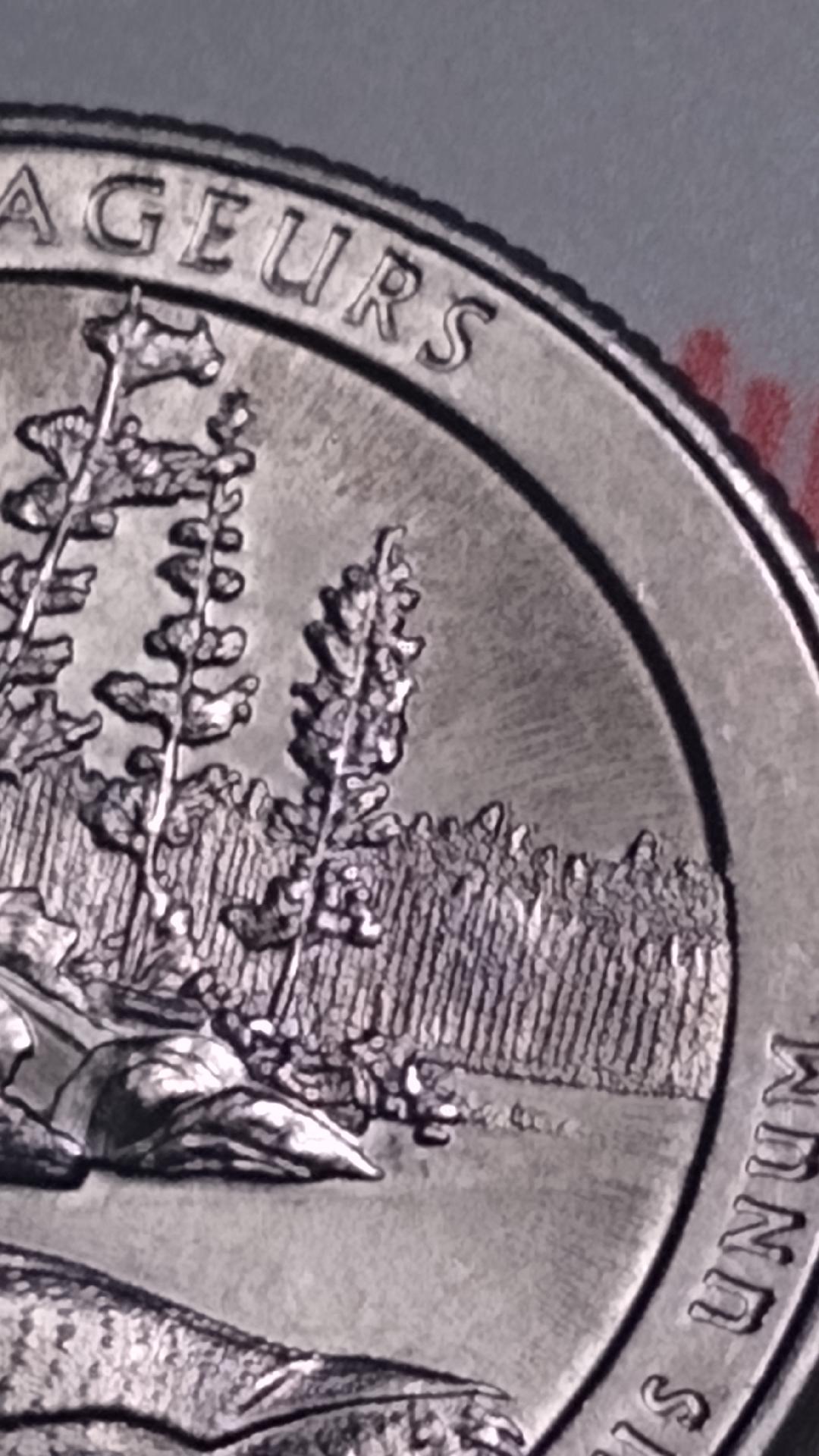 2018 MN Quarter rev side.jpg