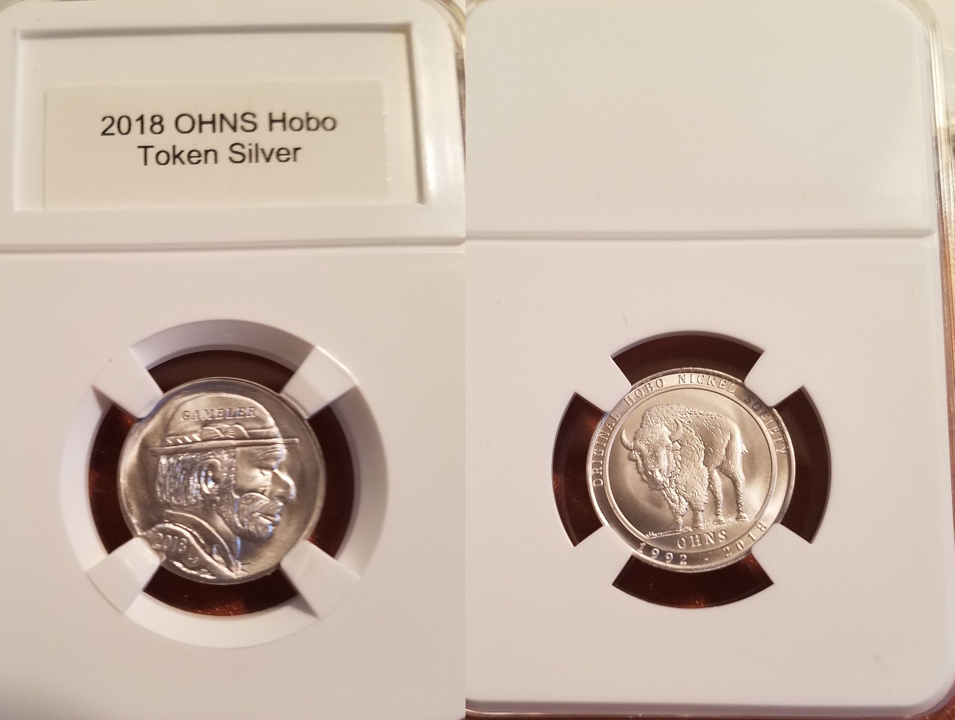2018 OHNS 1a Sil-horz.jpg