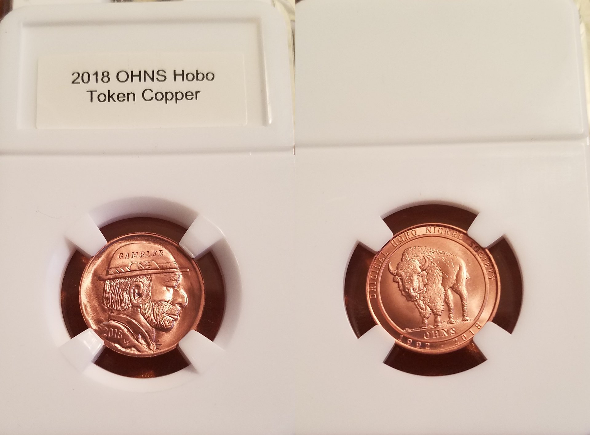 2018 OHNS 1aCU-horz.jpg